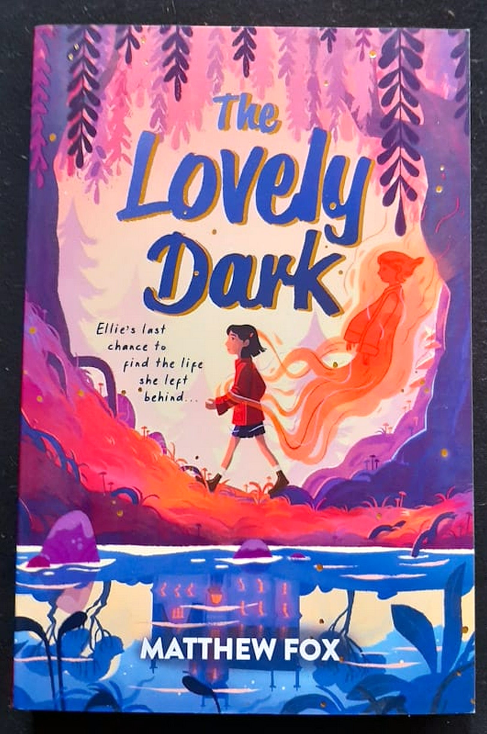 Front Cover Of The Lovely Dark (Matthew Fox)