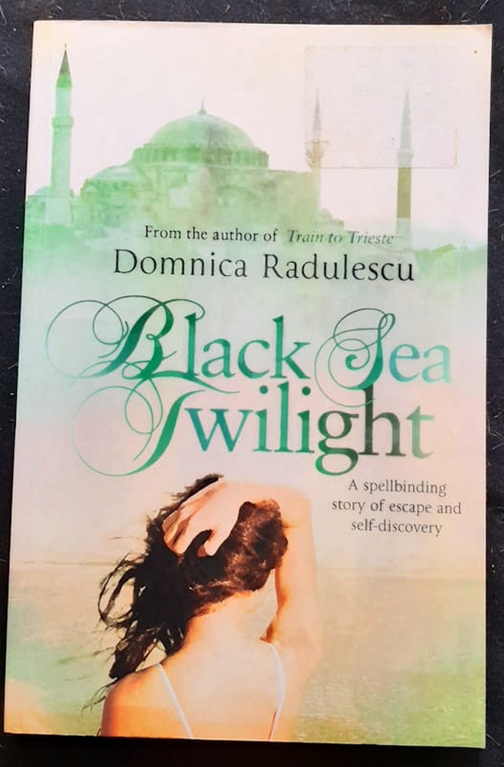 Front Cover Of Black Sea Twilight (<Span Class="Contributorlink__Name" Data-Testid="Name">Domnica Radulescu</Span>)