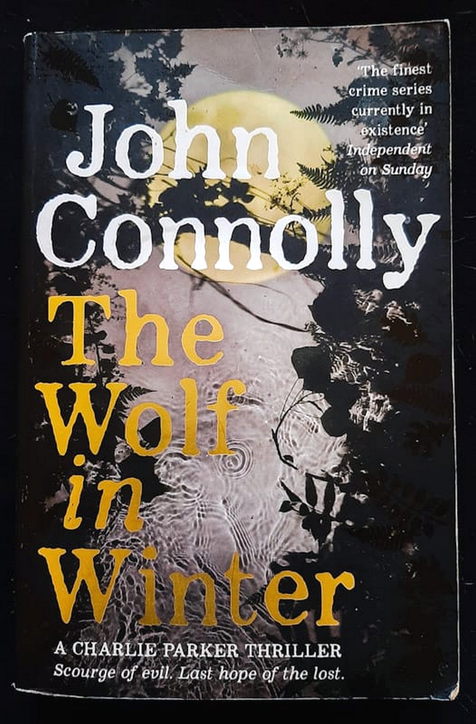 Front Cover Of The Wolf in Winter (Charlie Parker #12) (John Connolly)