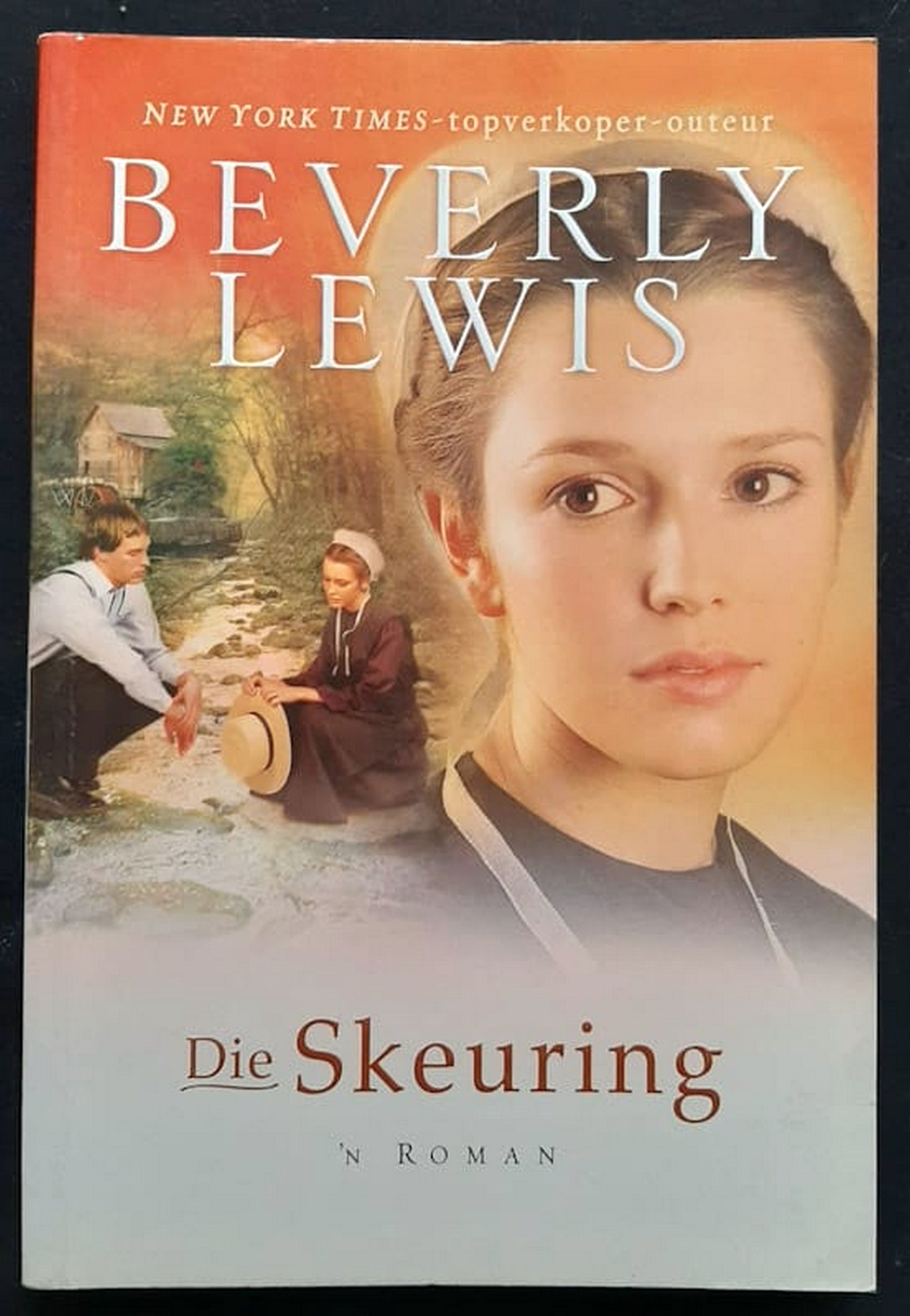 Front Cover Of Die Skeuring (The Courtship of Nellie Fisher #1) (Beverly Lewis)