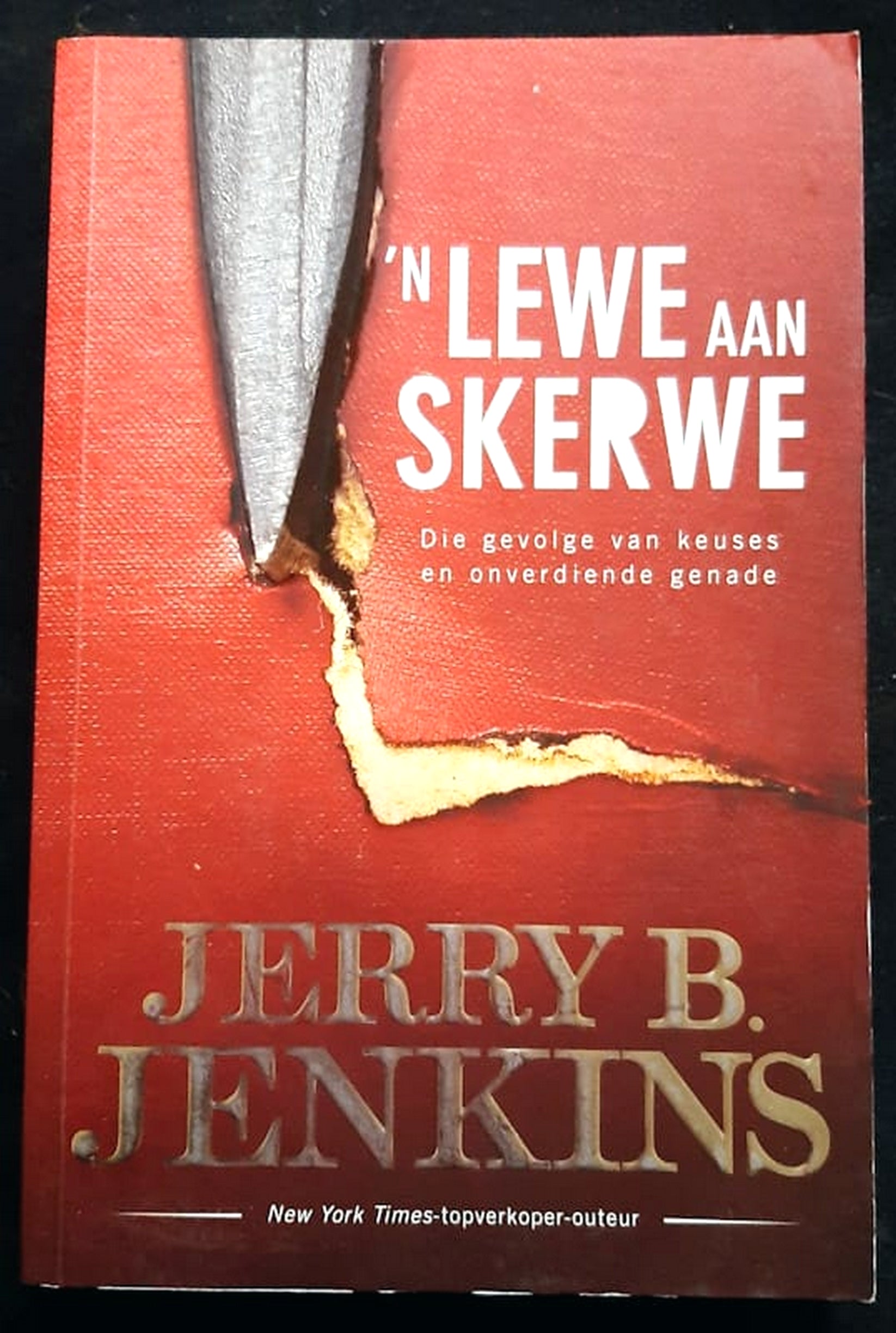Front Cover Of 'n Lewe Aan Skerwe (Jerry B. Jenkins)