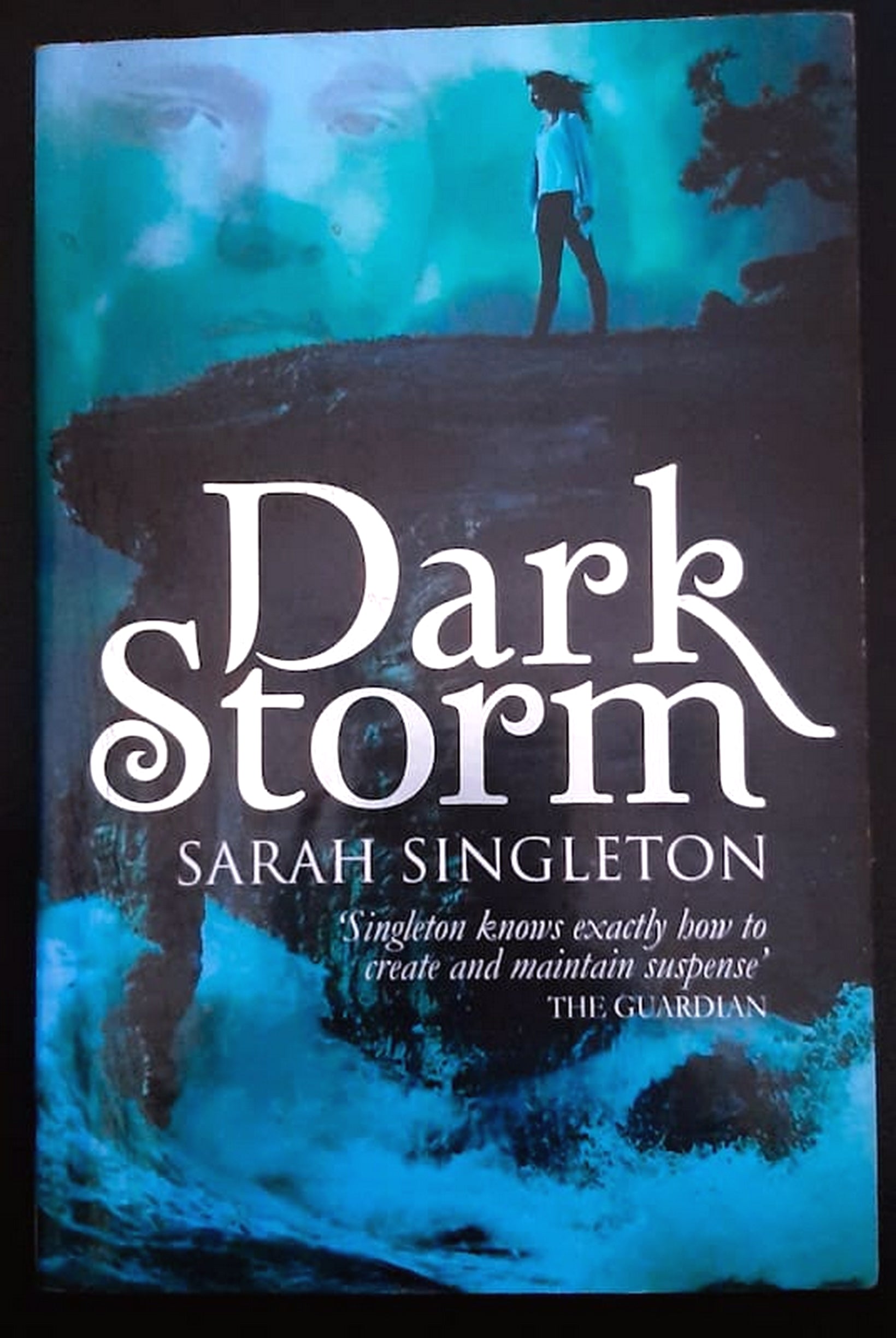 Front Cover Of Dark Storm (Sarah Singleton)