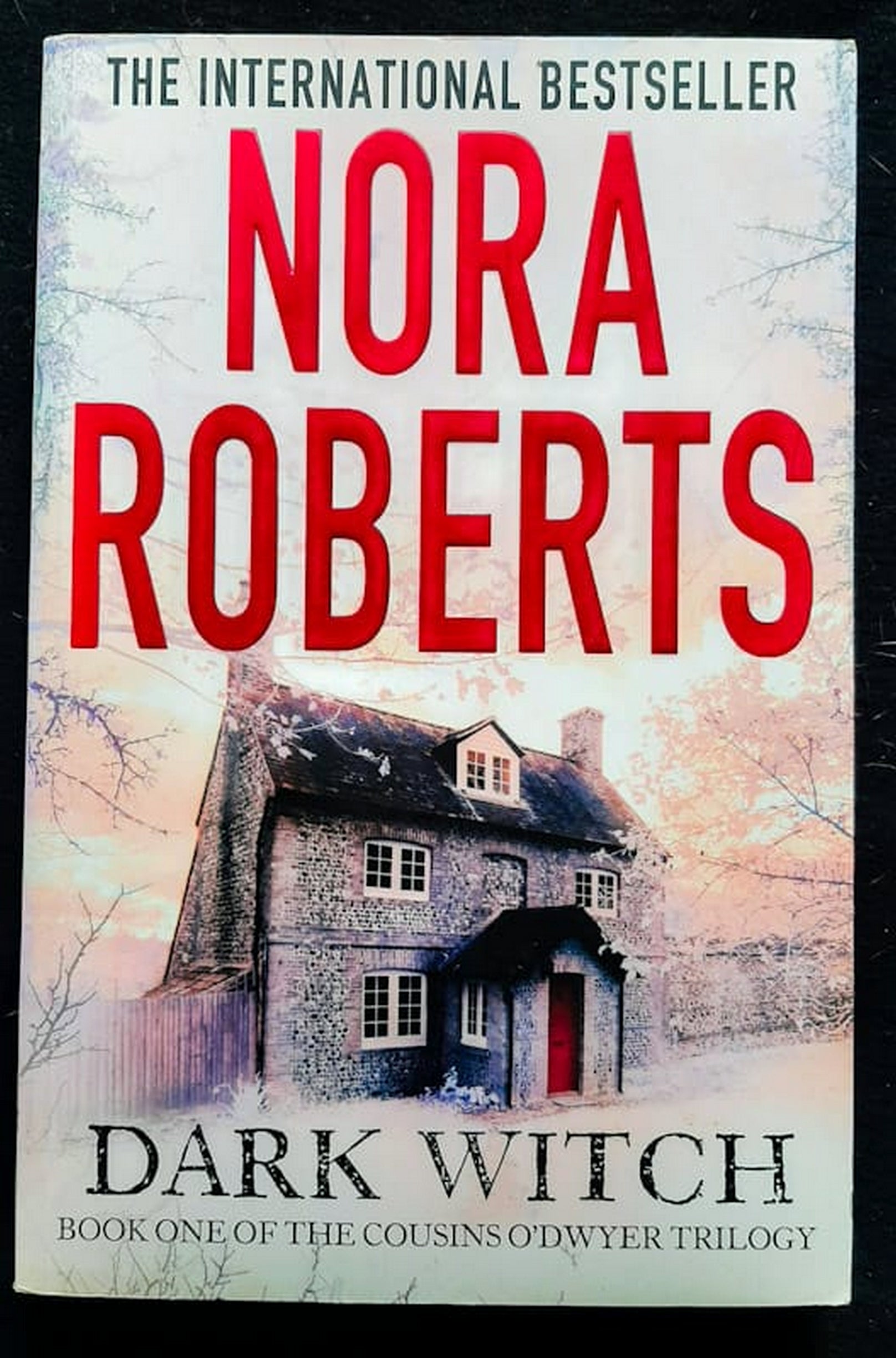Front Cover Of Bestselling Book Dark Witch (The Cousins O'Dwyer Trilogy #1) (Nora Roberts
)