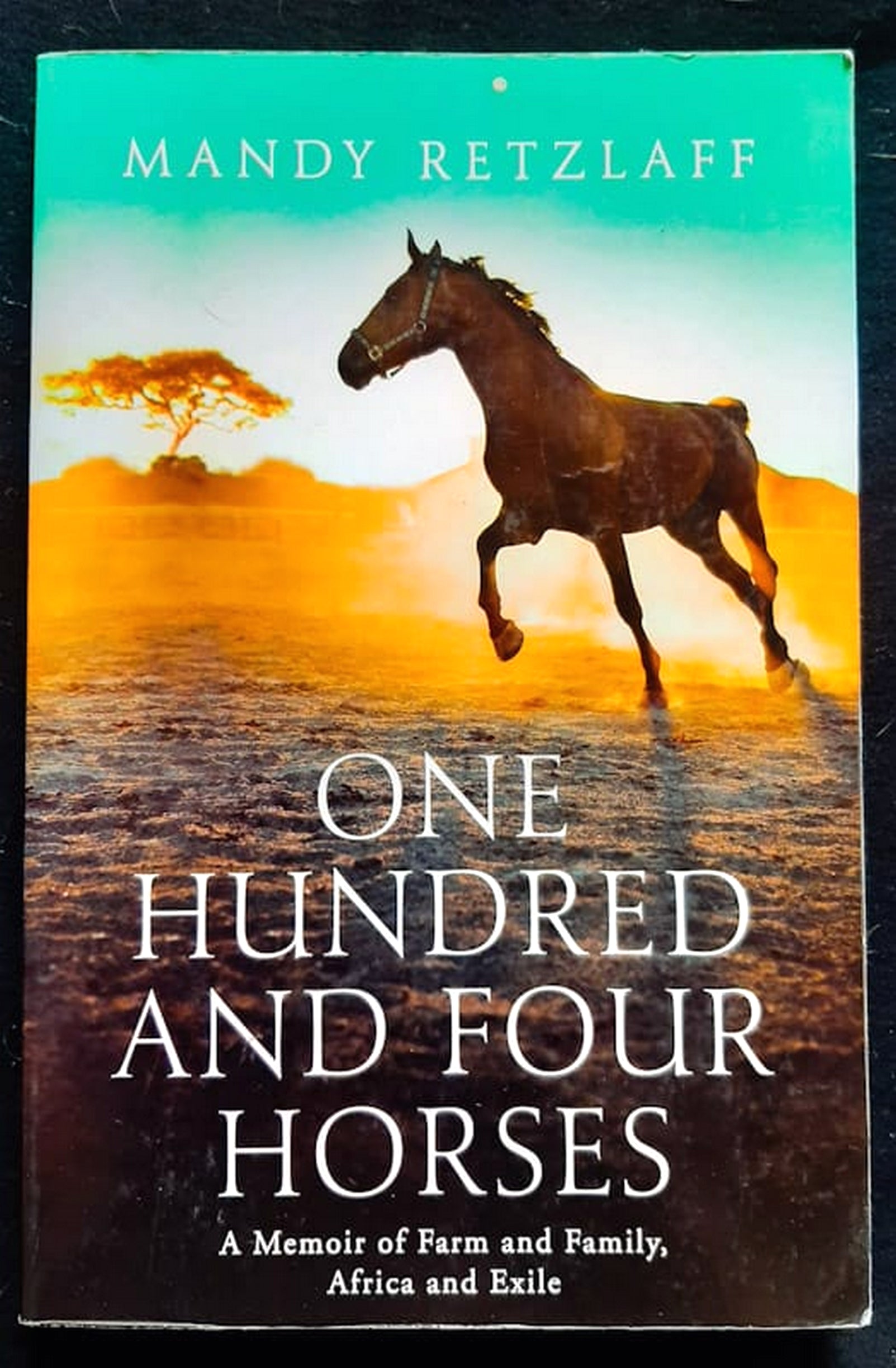 Front Cover Of Bestselling Book One Hundred And Four Horses (Mandy Retzlaff
)