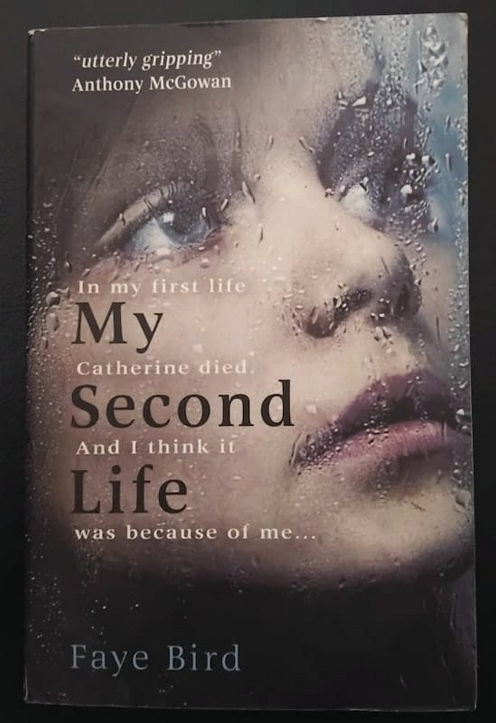 Front Cover Of Bestselling Book My Second Life (Faye Bird
)