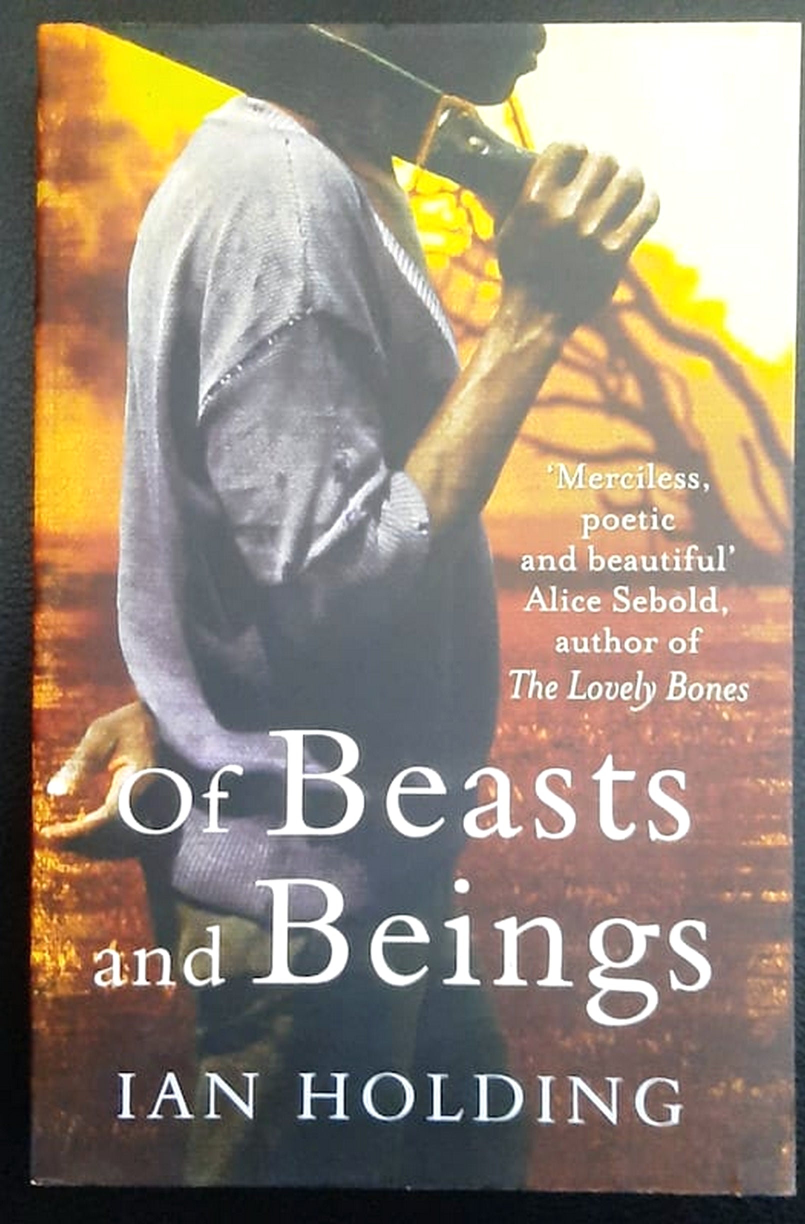 Front Cover Of Bestselling Book Of Beasts And Beings (Ian Holding
)