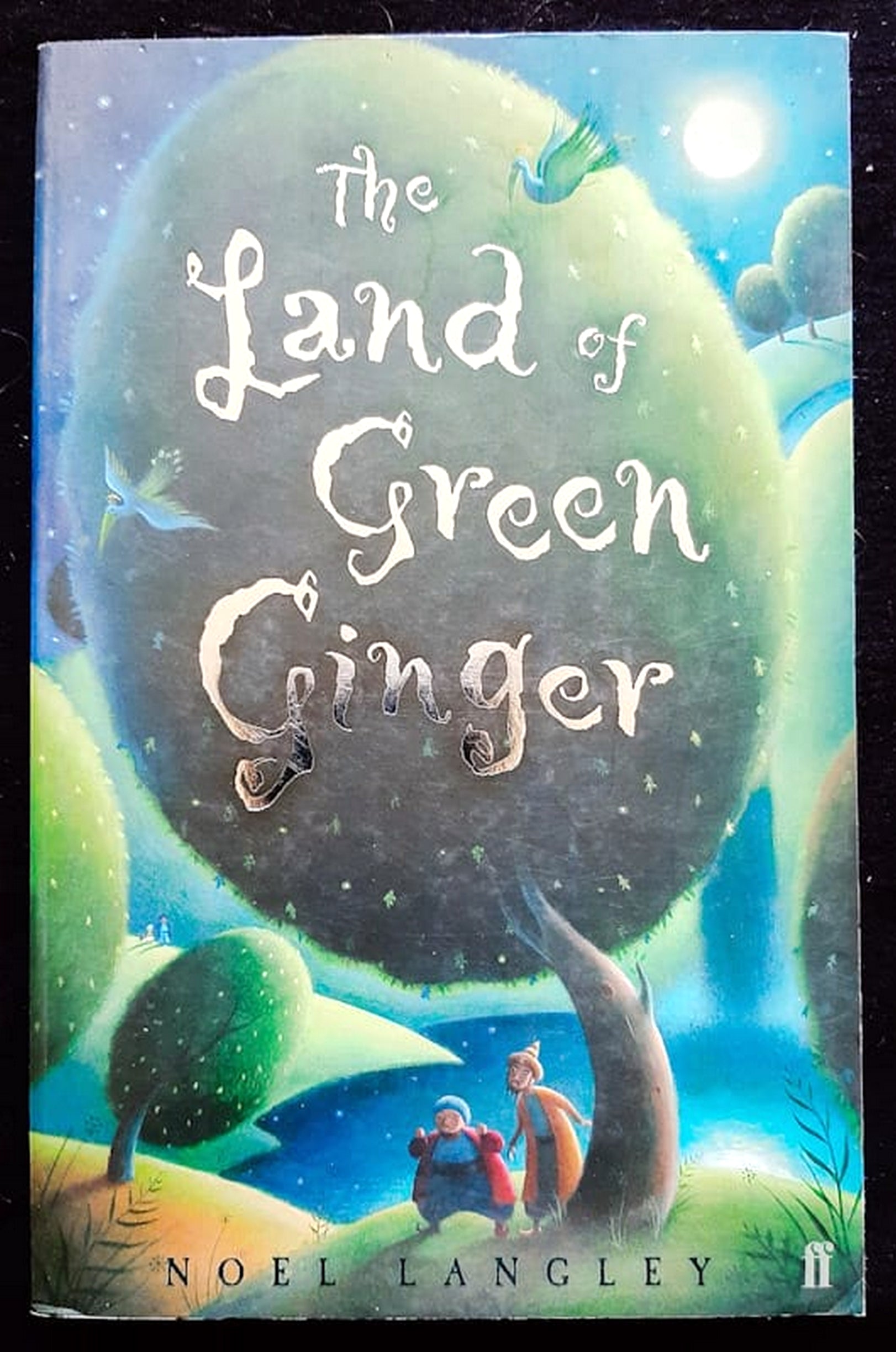 Front Cover Of Bestselling Book The Land Of Green Ginger (Noel Langley
)