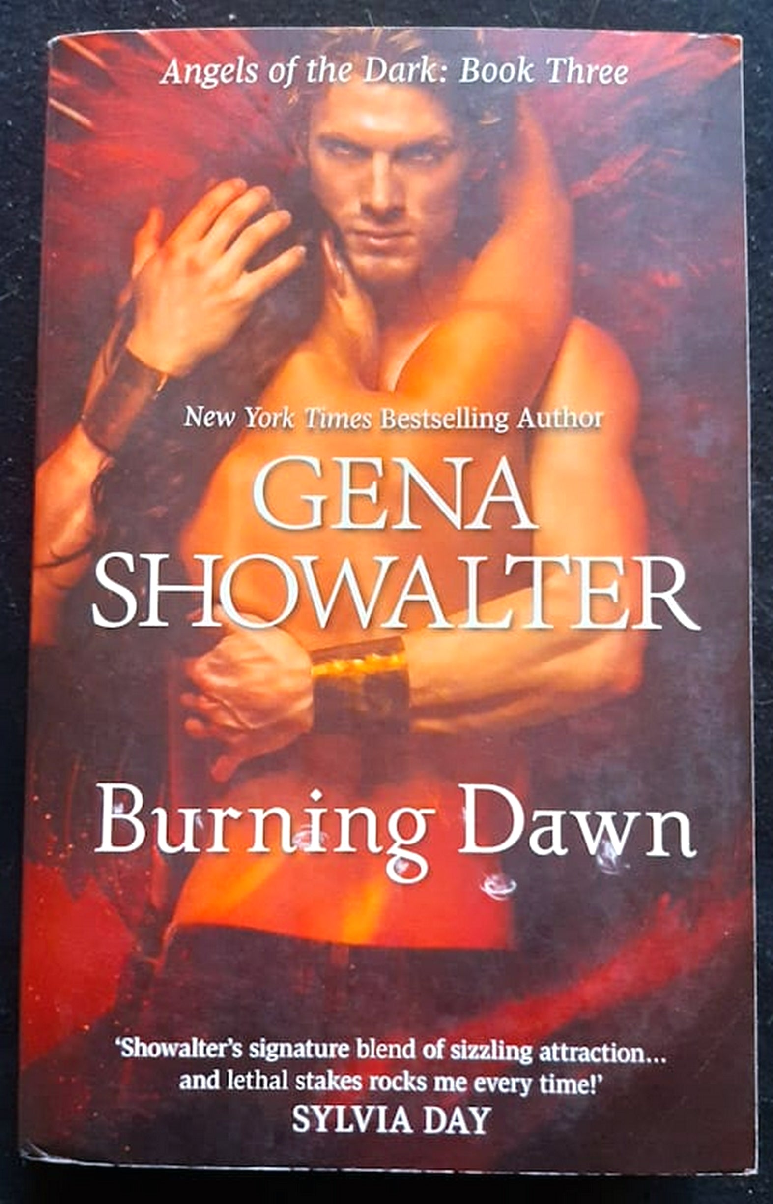 Front Cover Of Bestselling Book Burning Dawn (Angels Of The Dark #3) (Gena Showalter
)