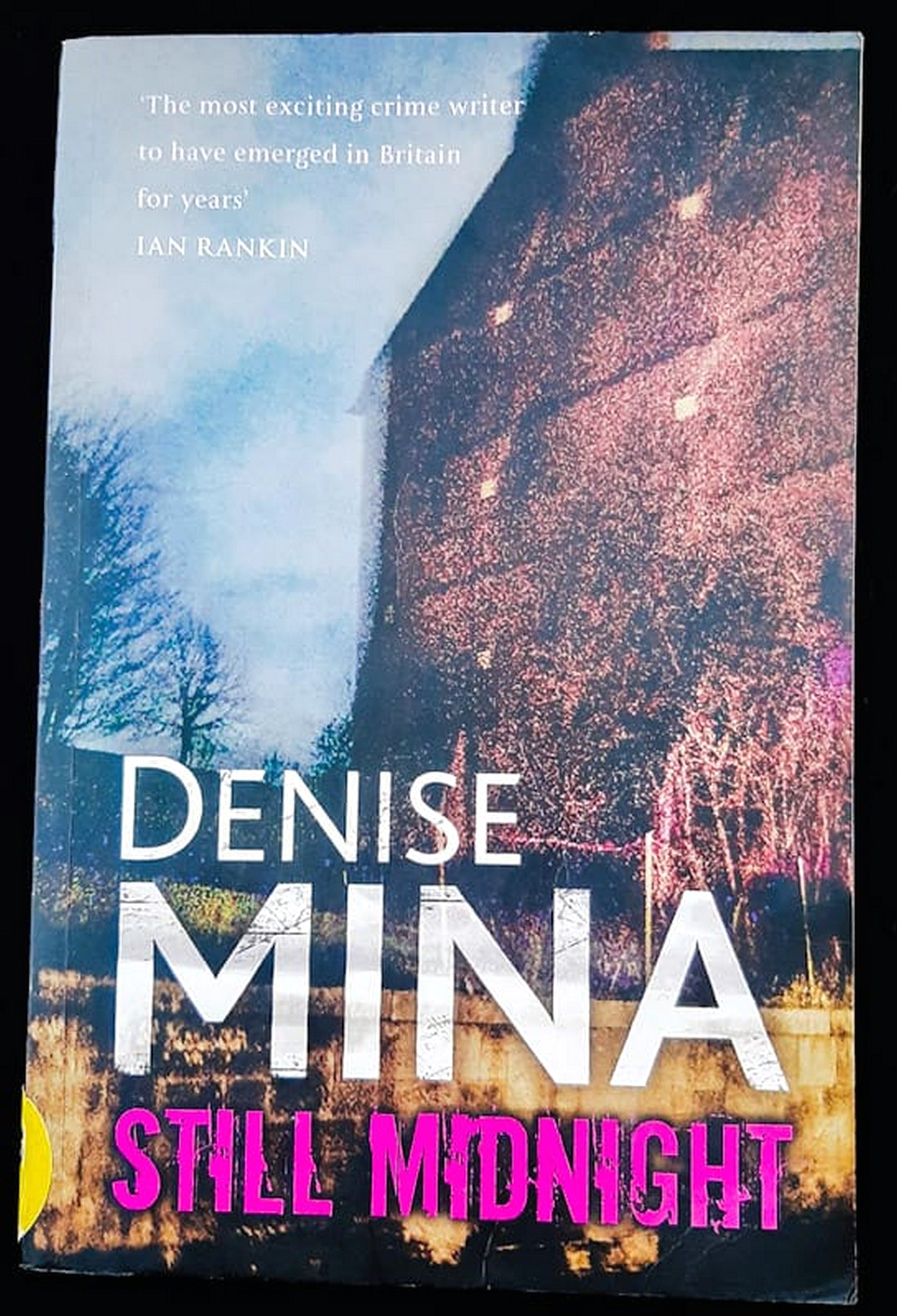 Front Cover Of Bestselling Book Still Midnight (Alex Morrow #1) (Denise Mina
)