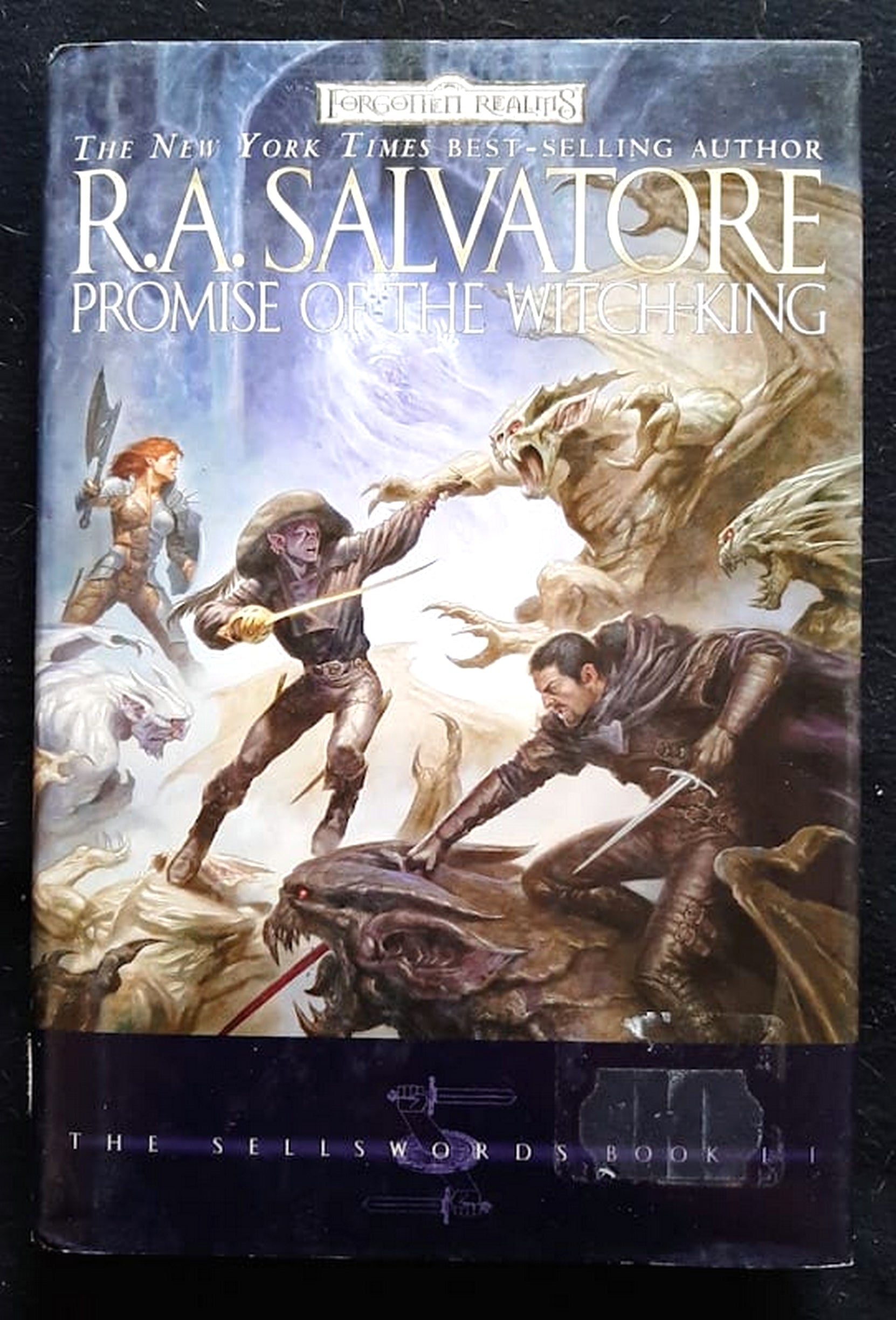 Front Cover Of Bestselling Book Promise Of The Witch King (The Sellswords #2) (Ra Salvatore
)