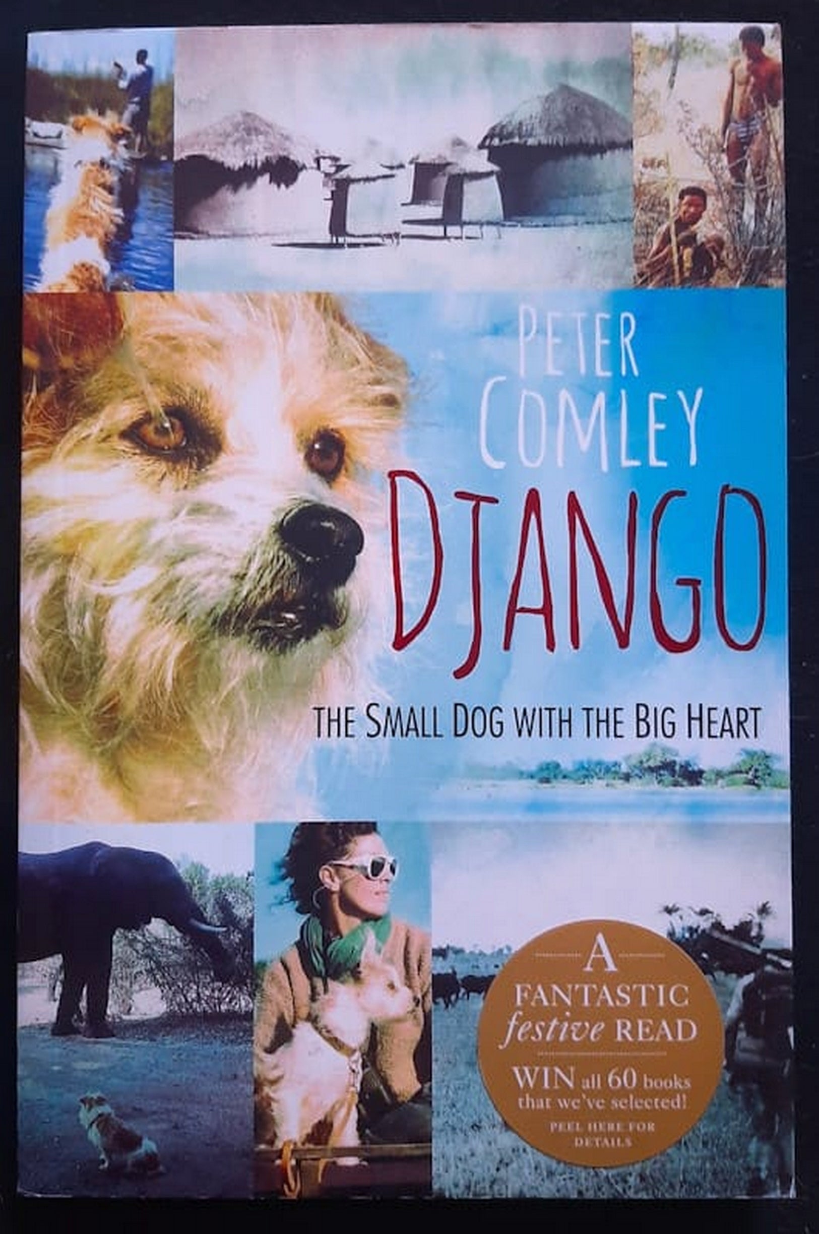 Front Cover Of Bestselling Book Django: The Small Dog With The Big Heart (Peter Comley
)