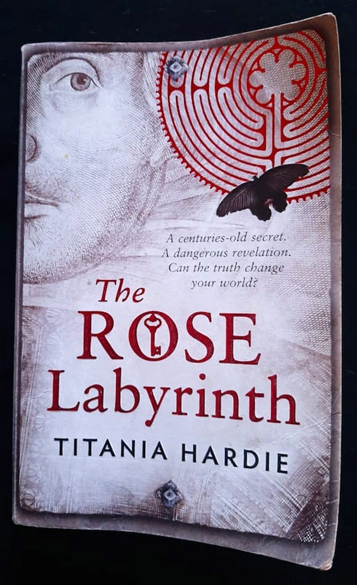 Front Cover Of Bestselling Book The Rose Labyrinth (Titania Hardie
)