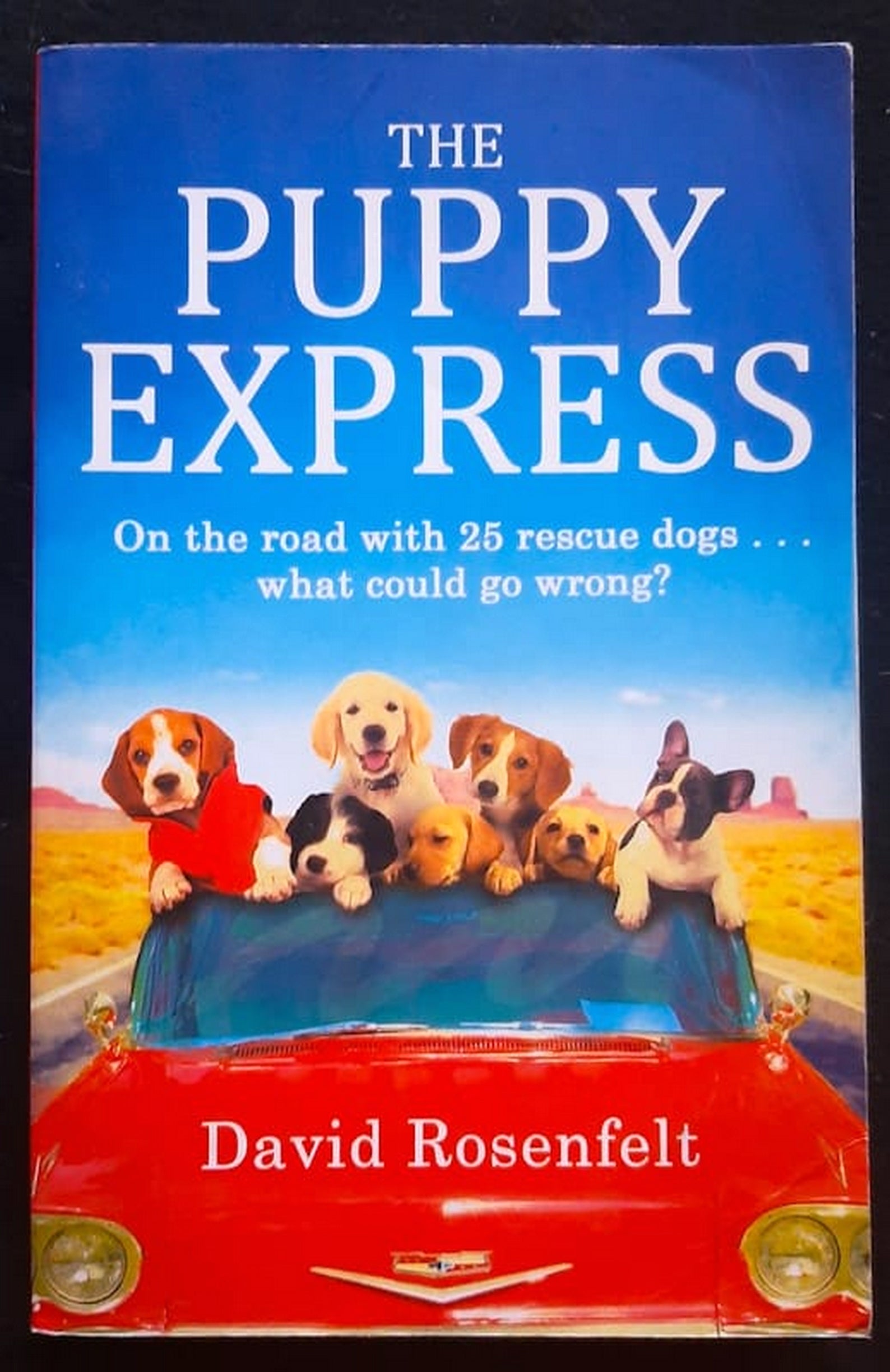 Front Cover Of Bestselling Book The Puppy Express: On The Road With 25 Rescue Dogs . . . What Could Go Wrong? (David Rosenfelt
)