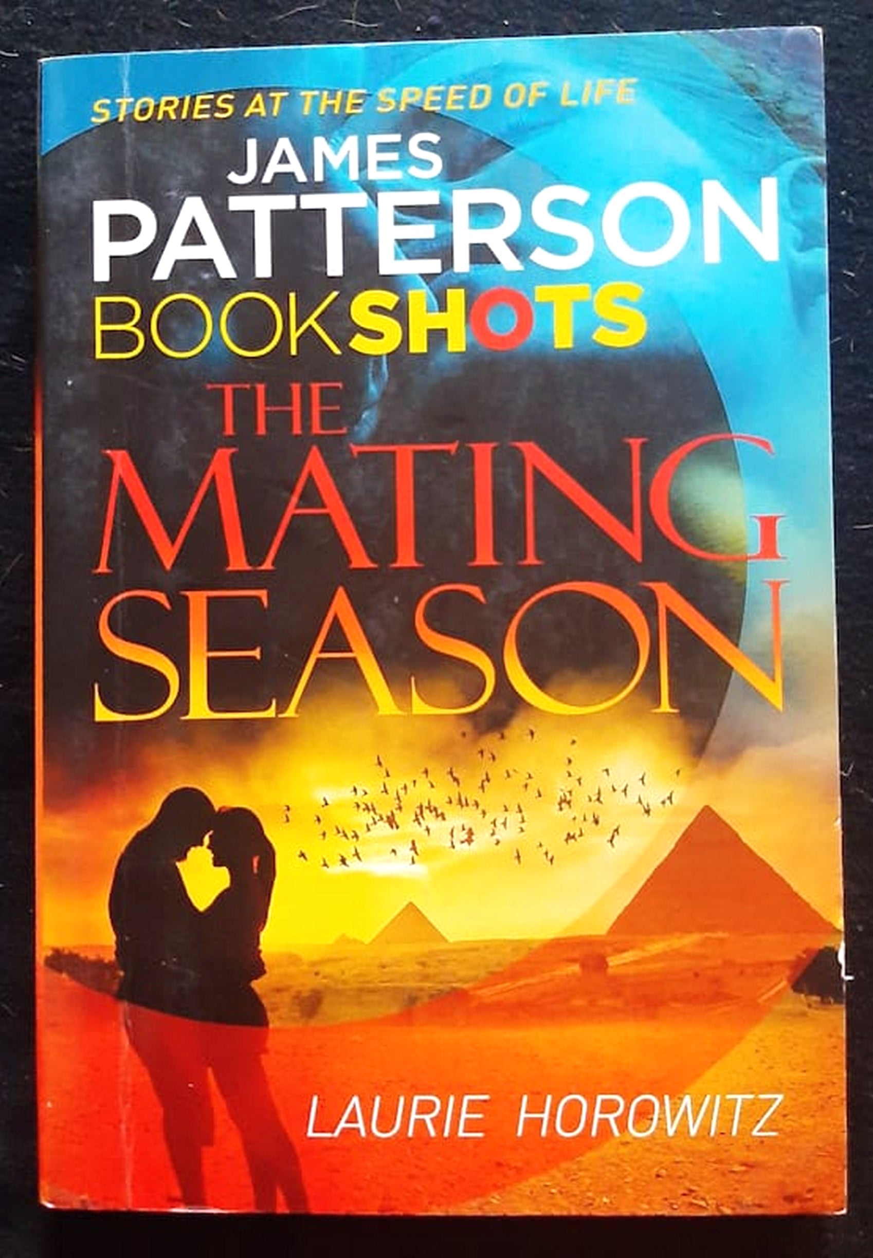 Front Cover Of Bestselling Book The Mating Season (James Patterson
)