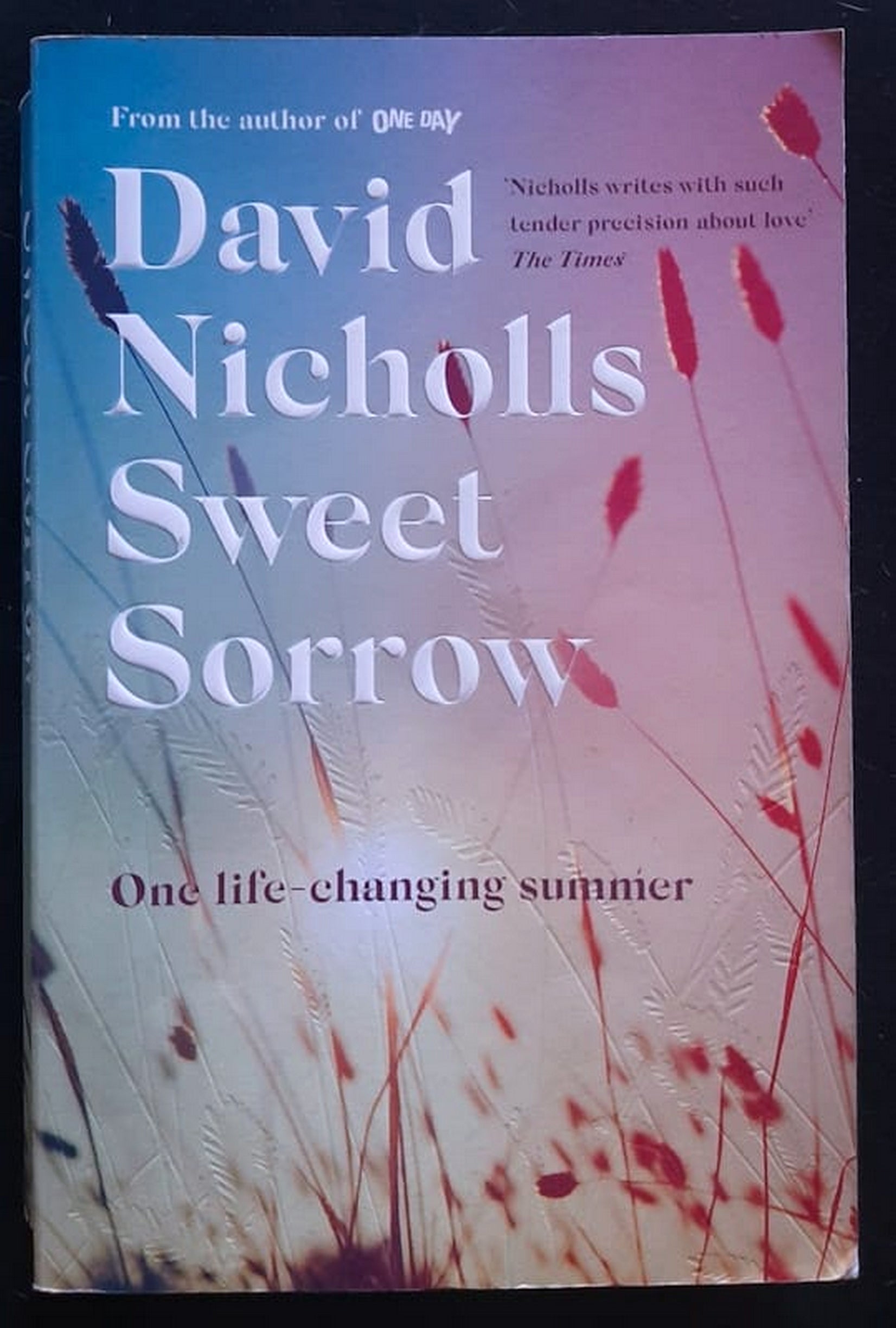 Front Cover Of Bestselling Book Sweet Sorrow (David Nicholls
)