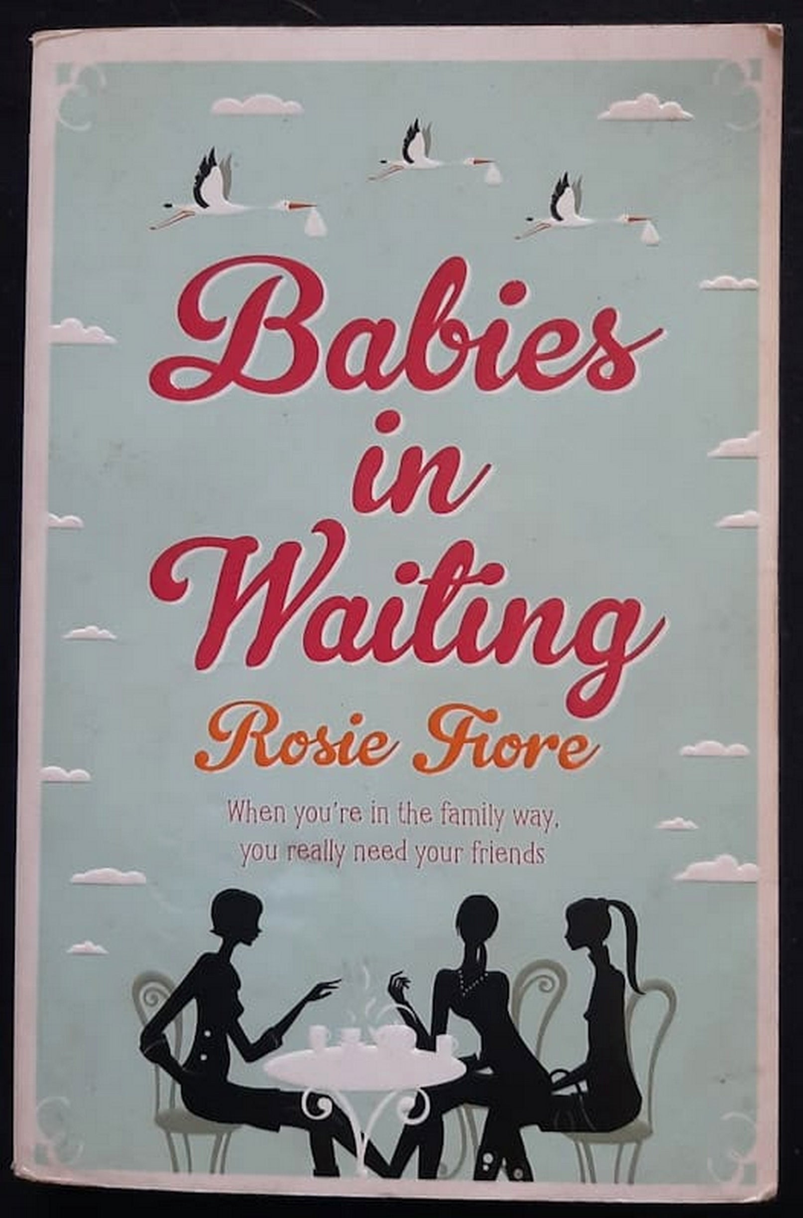 Front Cover Of Bestselling Book Babies In Waiting (<Div Class="Bookpagemetadatasection__Contributor">
)