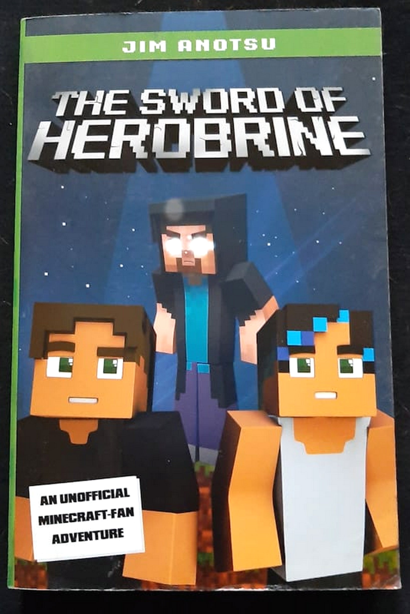 Front Cover Of Bestselling Book The Sword Of Herobrine (Herobrine #1) (Jim Anotsu
)
