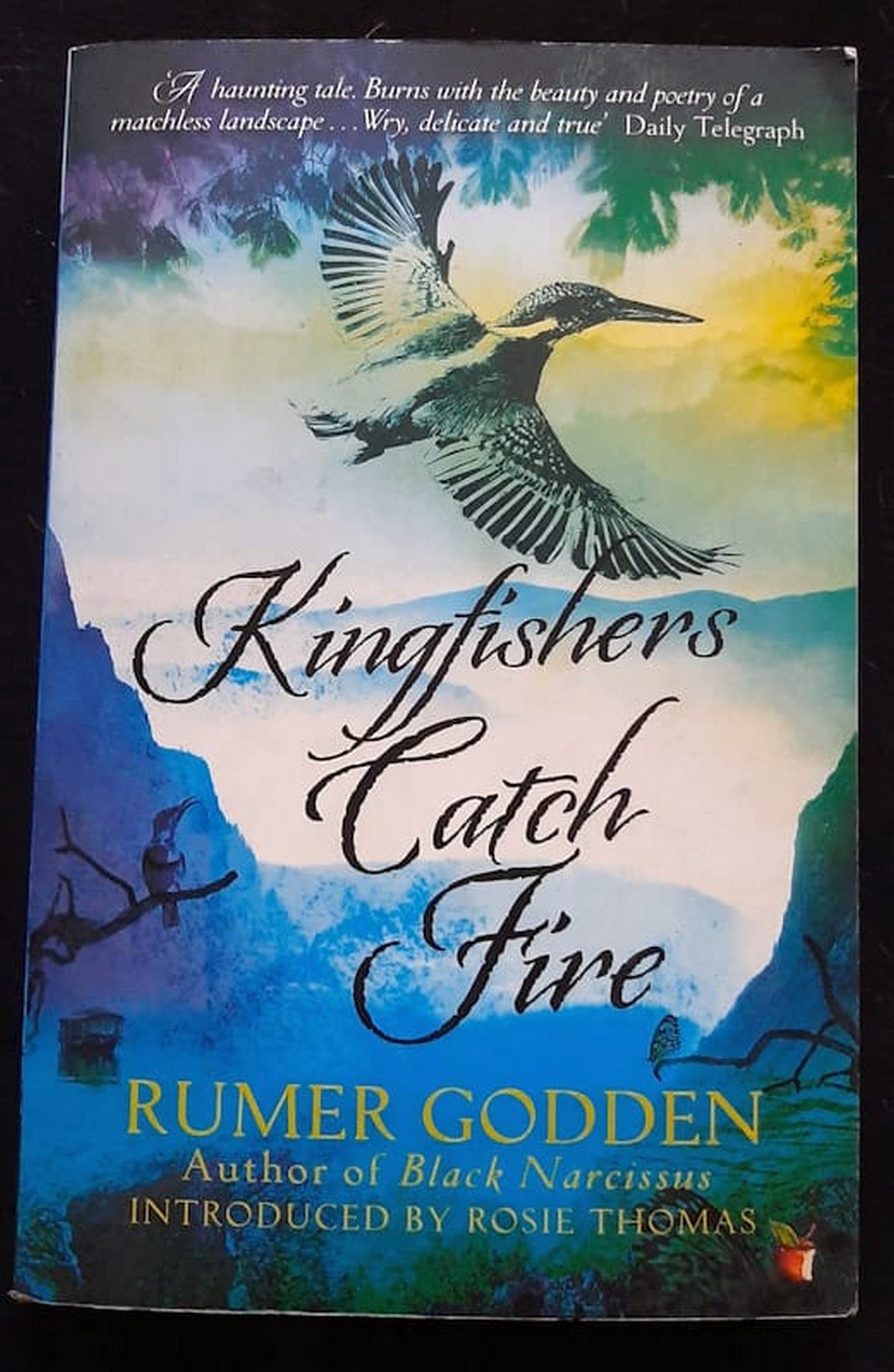 Front Cover Of Bestselling Book As Kingfishers Catch Fire (Gerard Manley Hopkins
)