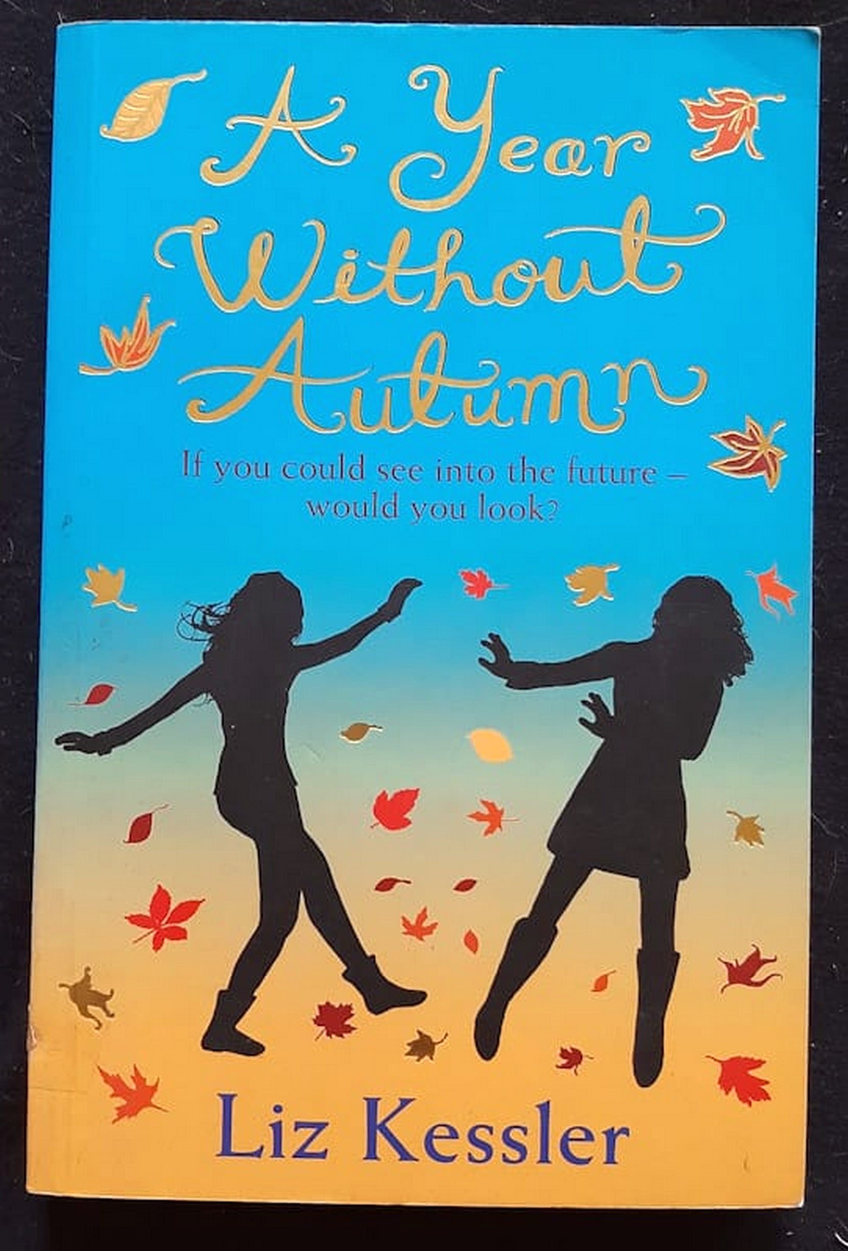 Front Cover Of Bestselling Book A Year Without Autumn (Liz Kessler
)