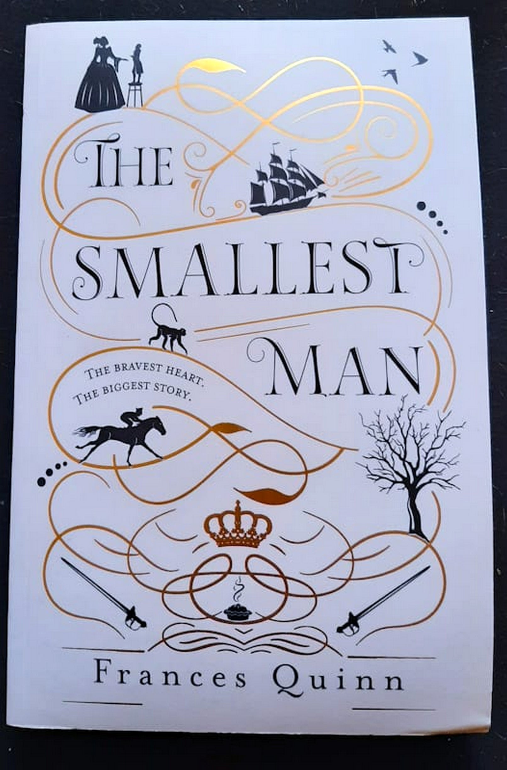 Front Cover Of Bestselling Book The Smallest Man (Frances Quinn
)