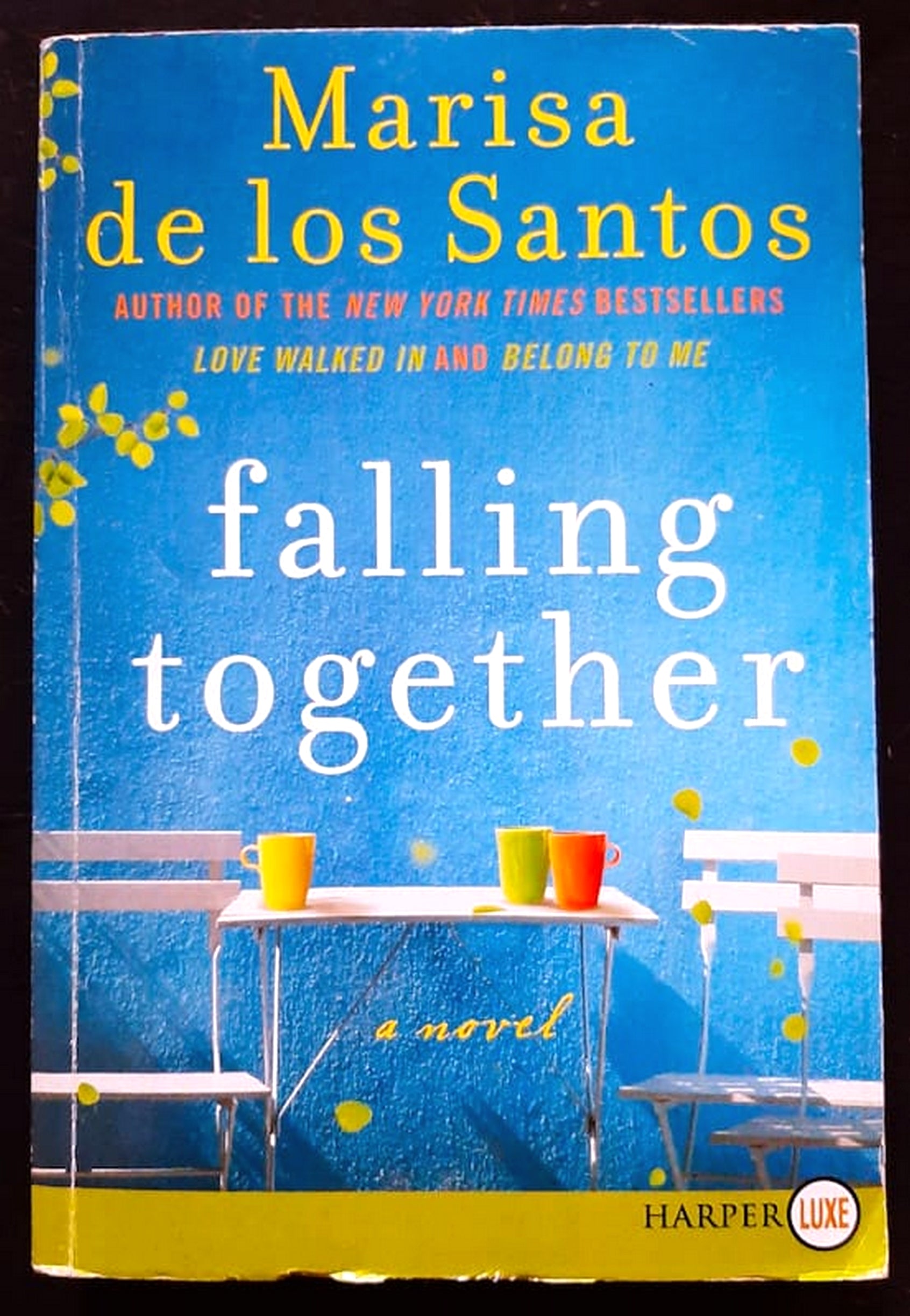 Front Cover Of Bestselling Book Falling Together (Marisa De Los Santos
)