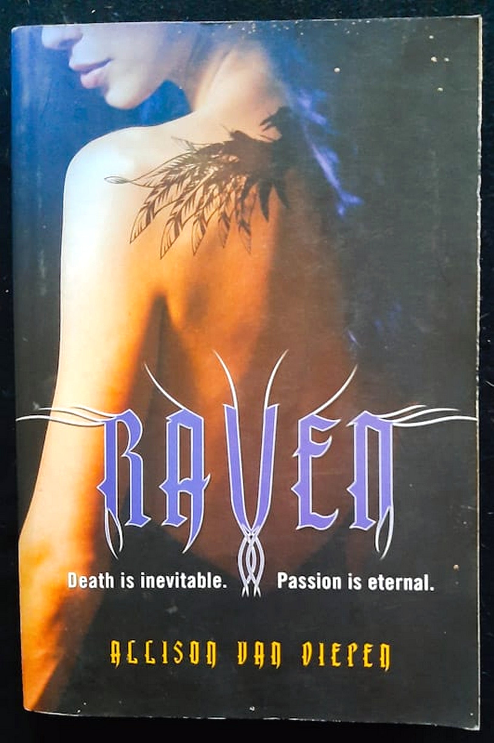 Front Cover Of Bestselling Book Raven (Allison Van Diepen
)