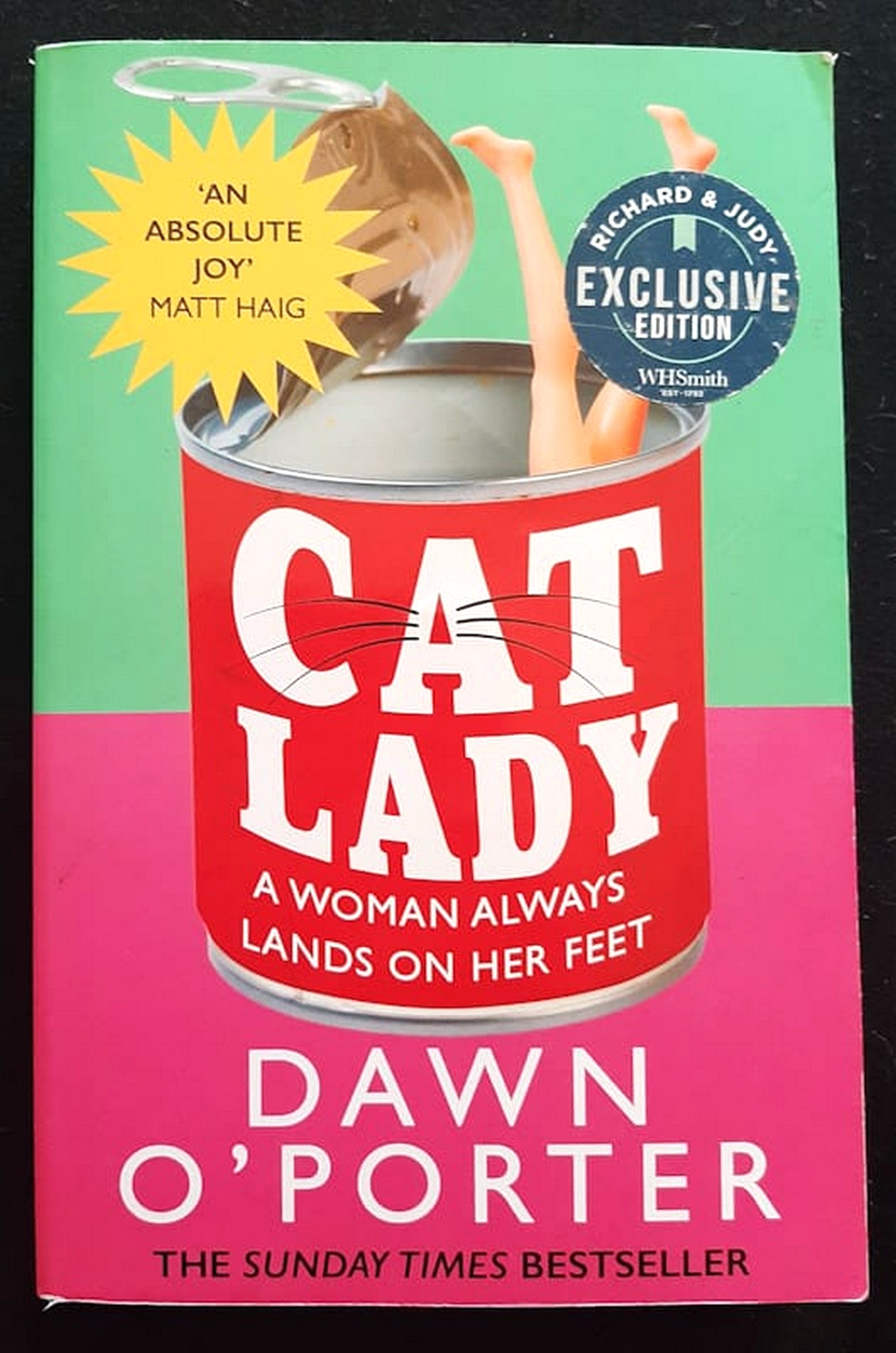 Front Cover Of Bestselling Book Cat Lady (Dawn O'Porter
)