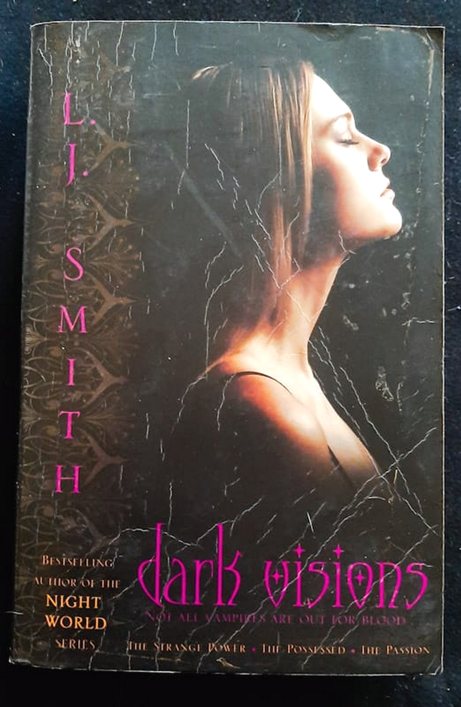 Front Cover Of Bestselling Book Dark Visions (Dark Visions #1-3) (L.J. Smith
)