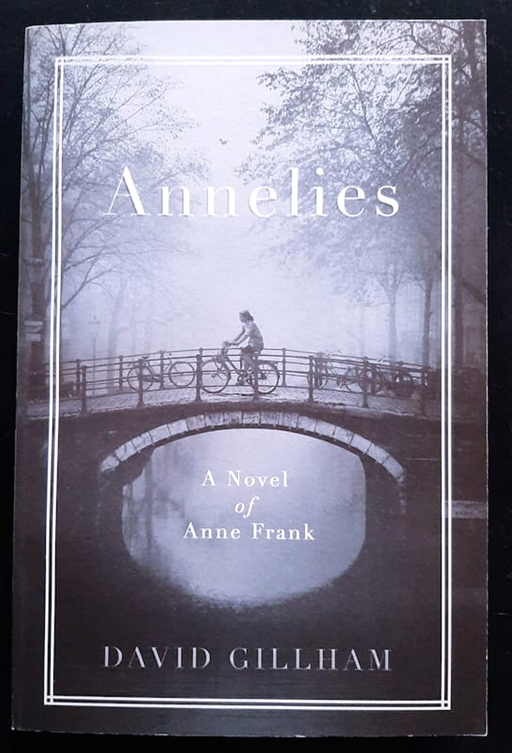 Front Cover Of Bestselling Book Annelies (David Gillham
)