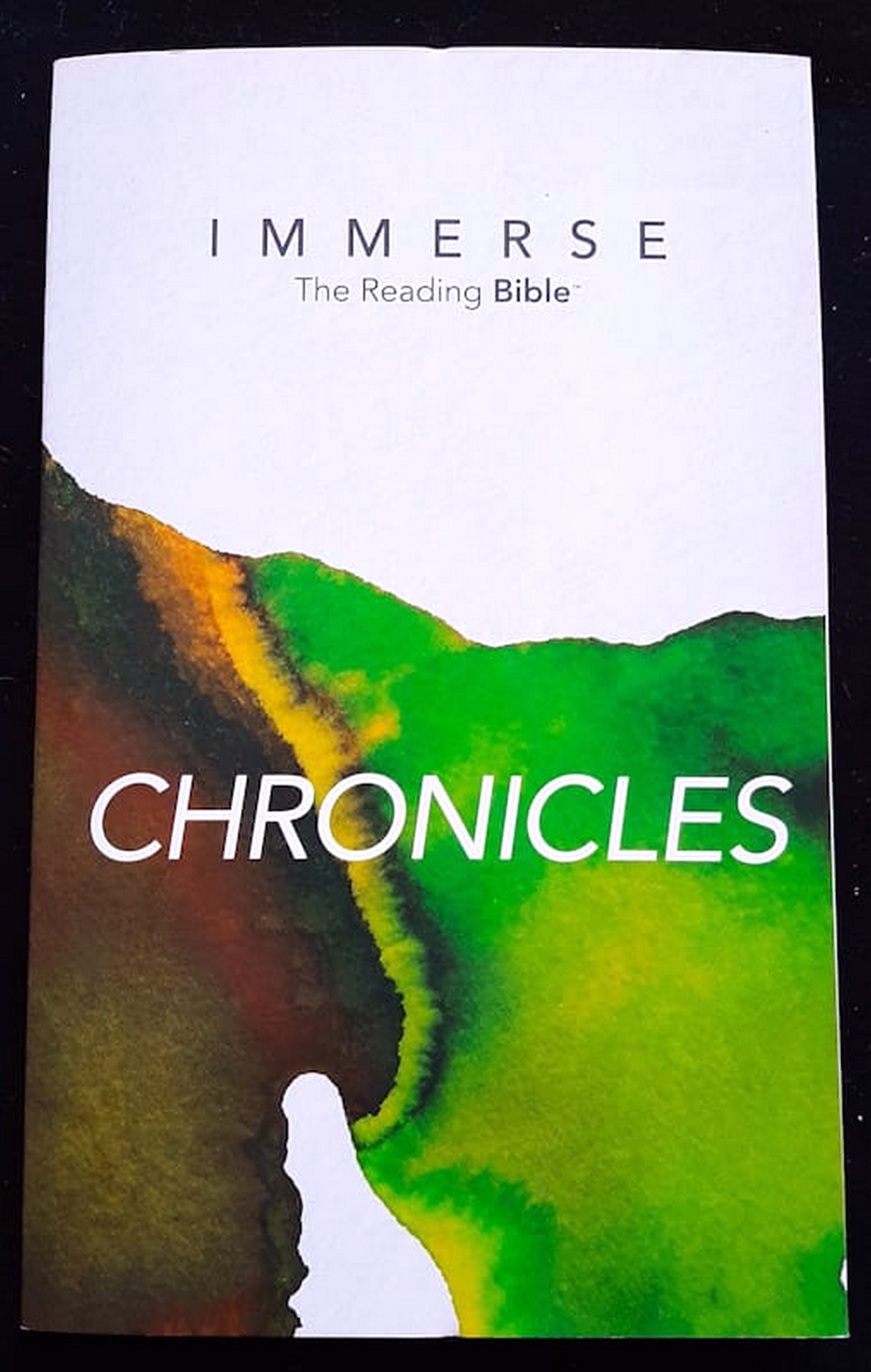 Front Cover Of Bestselling Book Immerse The Reading Bible: Chronicles (Medium Paperback)