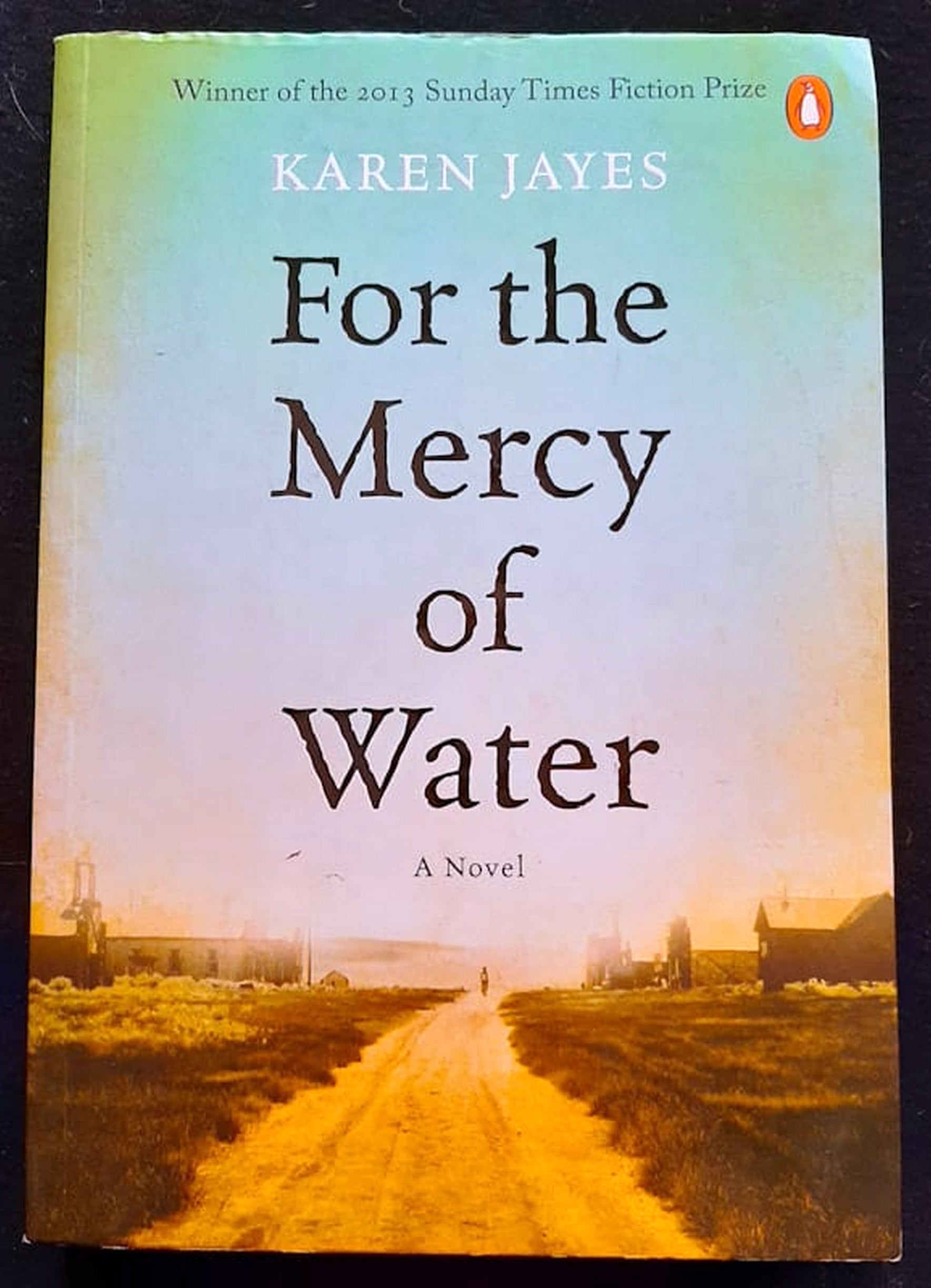 Front Cover Of Bestselling Book For The Mercy Of Water (Karen Jayes
)
