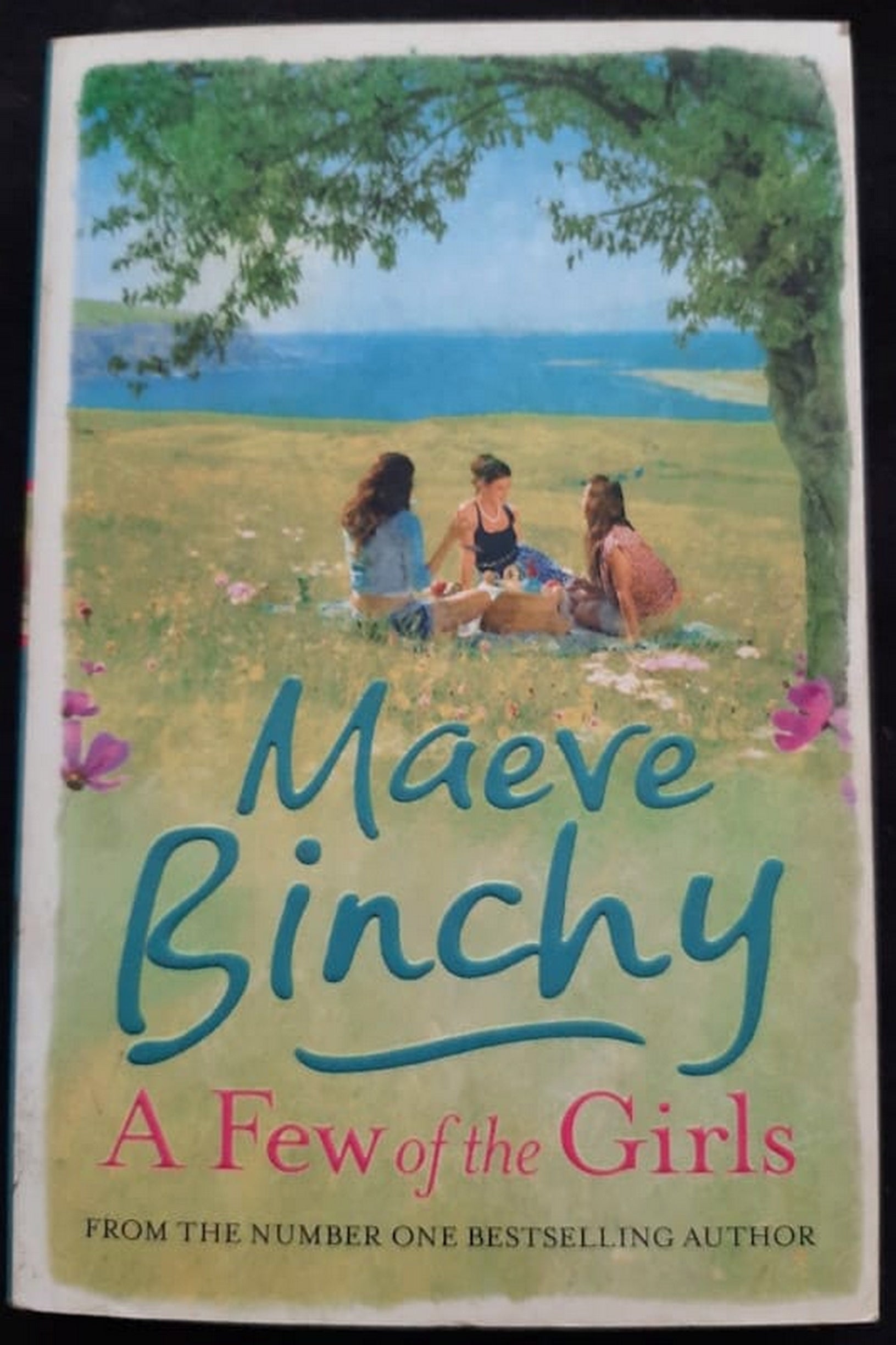 Front Cover Of Bestselling Book A Few Of The Girls (Maeve Binchy
)