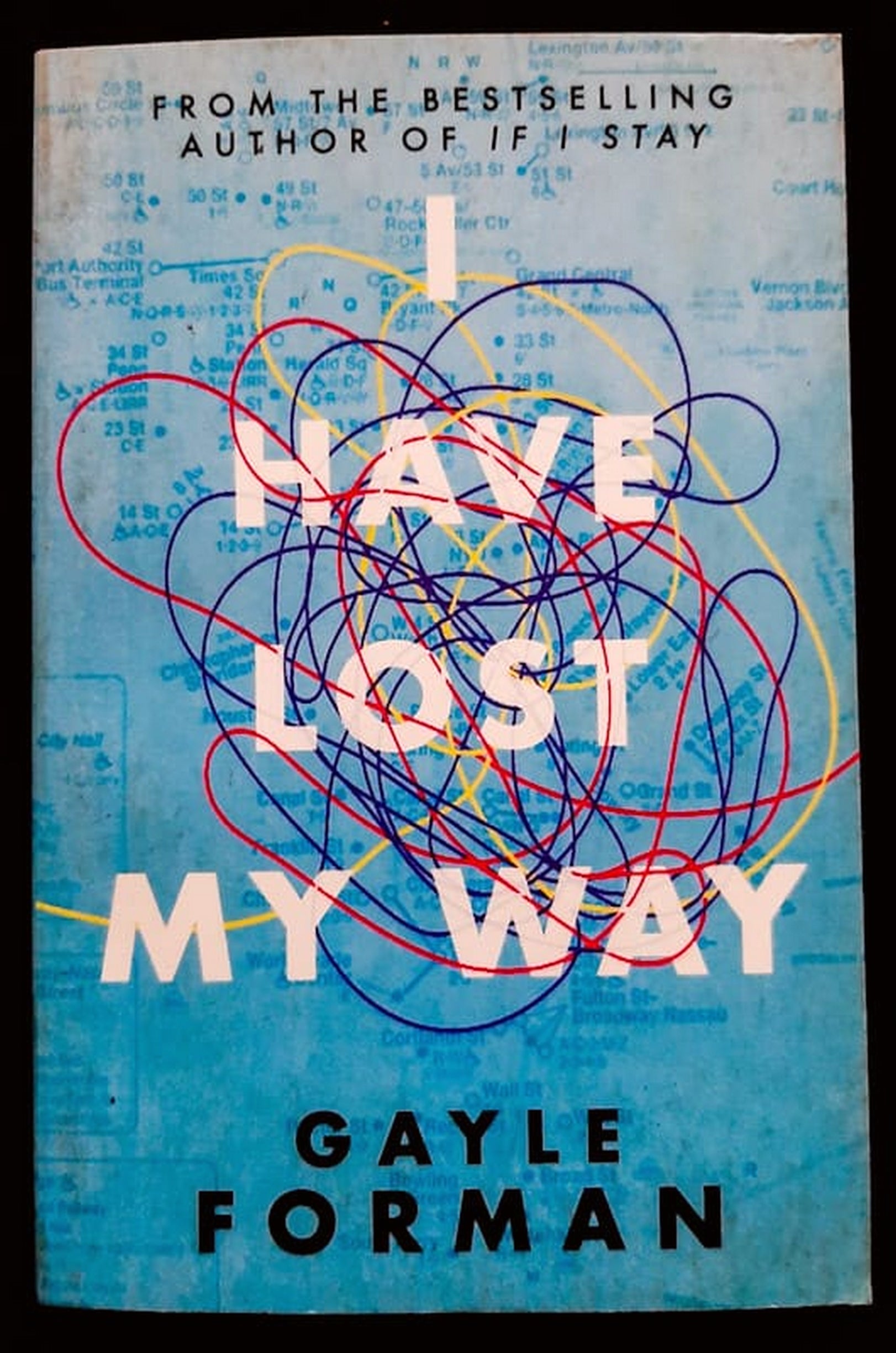 Front Cover Of Bestselling Book I Have Lost My Way (Gayle Forman
)