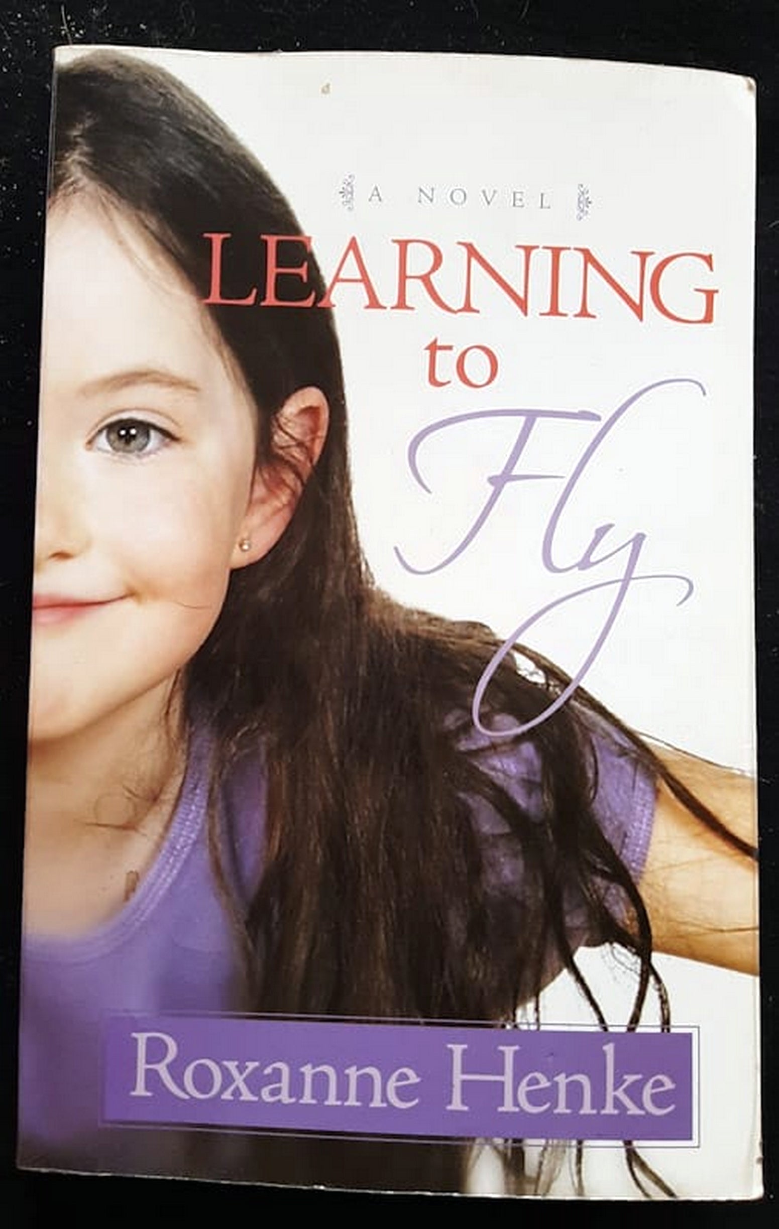 Front Cover Of Bestselling Book Learning To Fly (Roxanne Henke
)