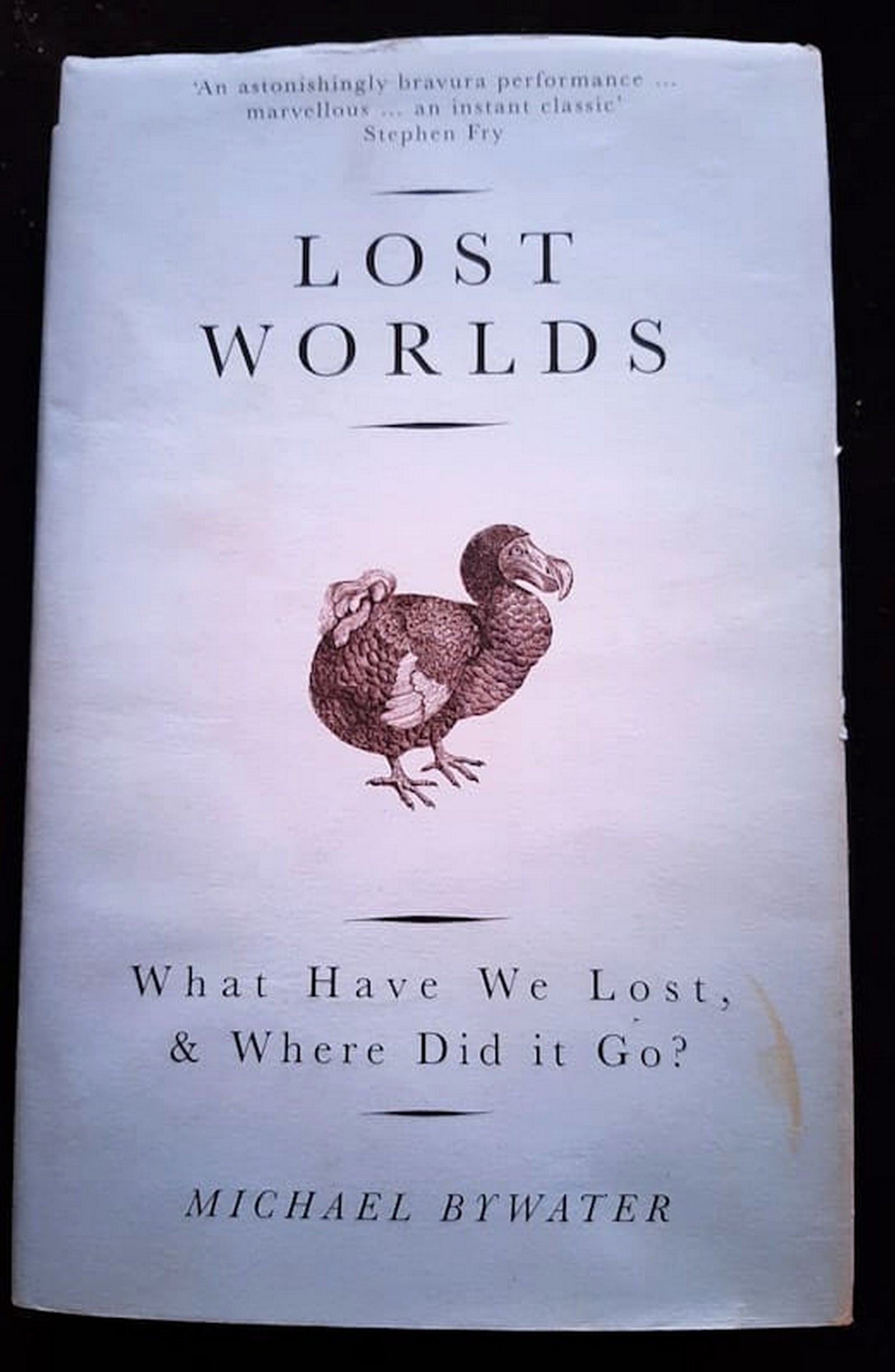 Front Cover Of Bestselling Book Lost Worlds: What Have We Lost, & Where Did It Go? (Michael Bywater
)