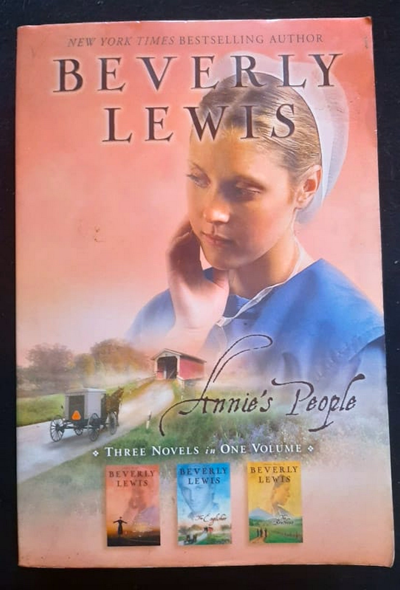 Front Cover Of Bestselling Book Annie'S People: The Preacher'S Daughter, The Englisher, & The Brethren Beverly Lewis (Beverly Lewis
)