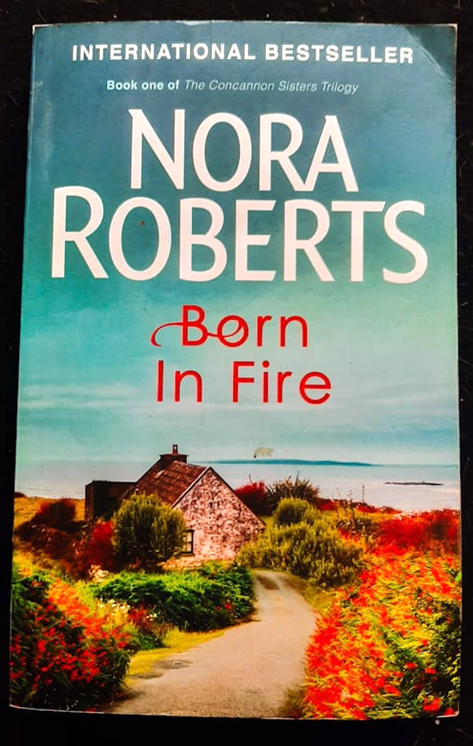 Front Cover Of Bestselling Book Born In Fire (Irish Born Trilogy #1) (Nora Roberts
)