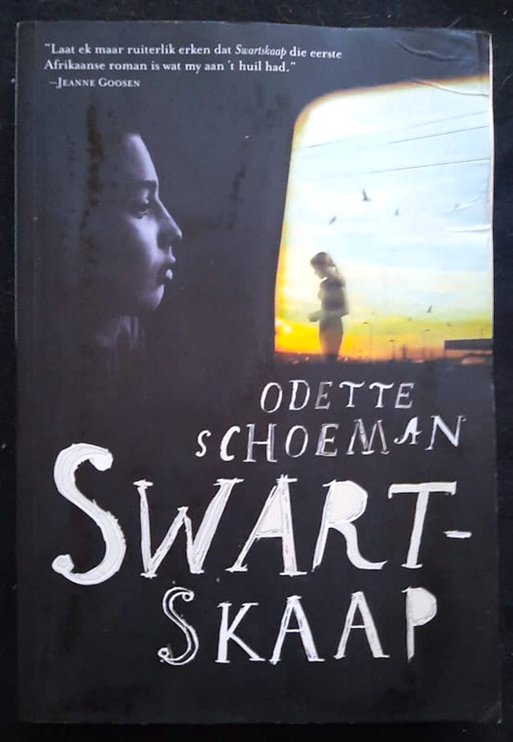 Front Cover Of Bestselling Book Swartskaap (Odette Schoeman
)