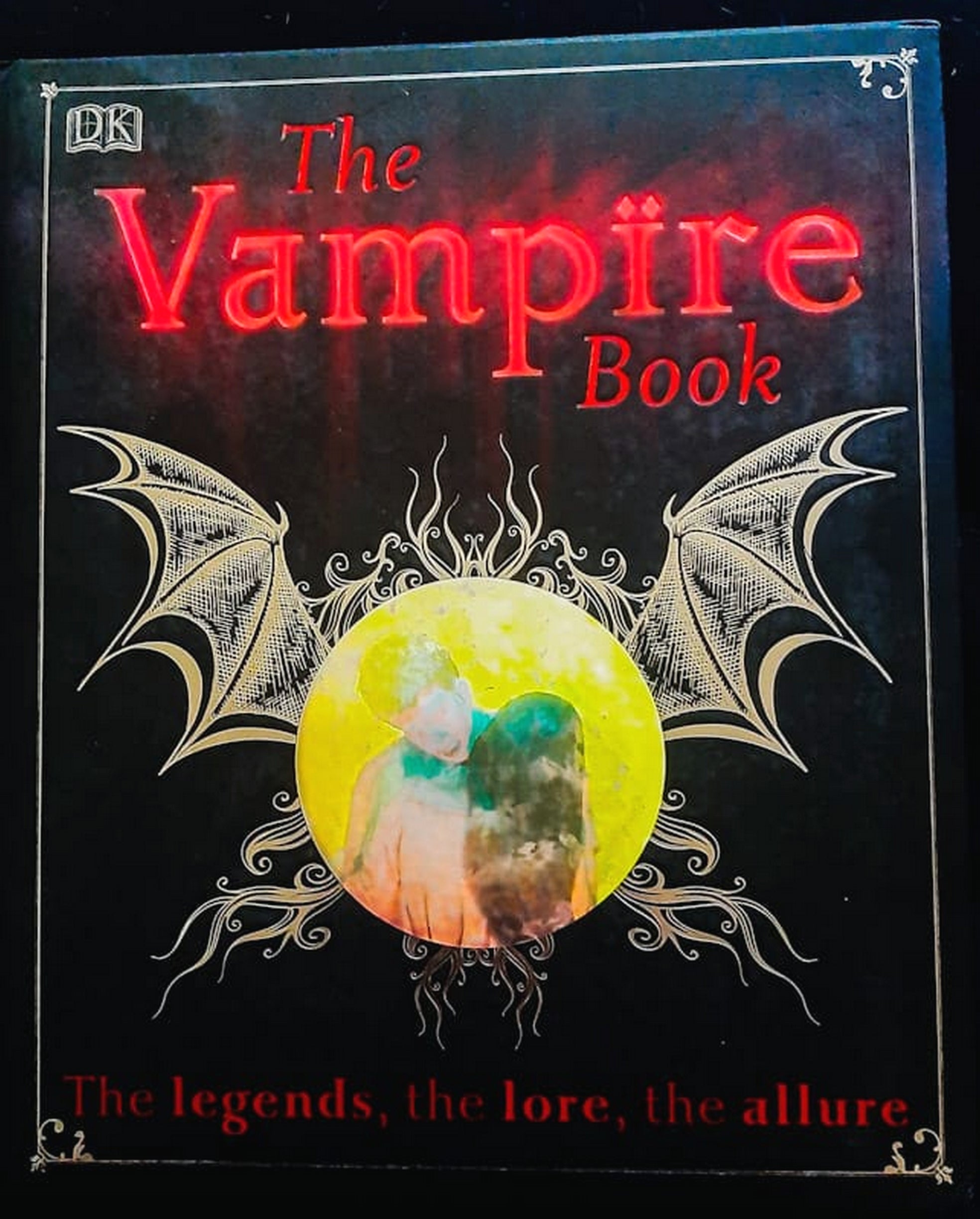 Front Cover Of Bestselling Book The Vampire Book (Sally Regan
)
