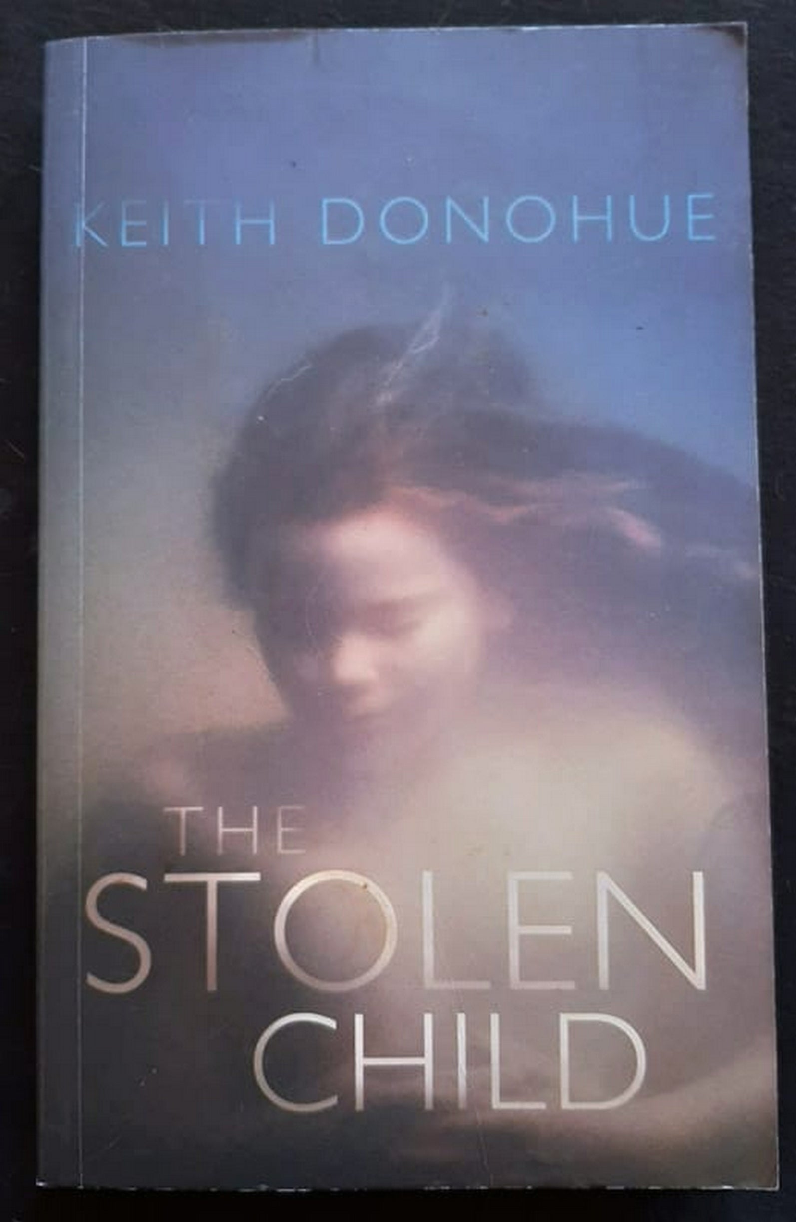 Front Cover Of Bestselling Book The Stolen Child (Keith Donohue
)