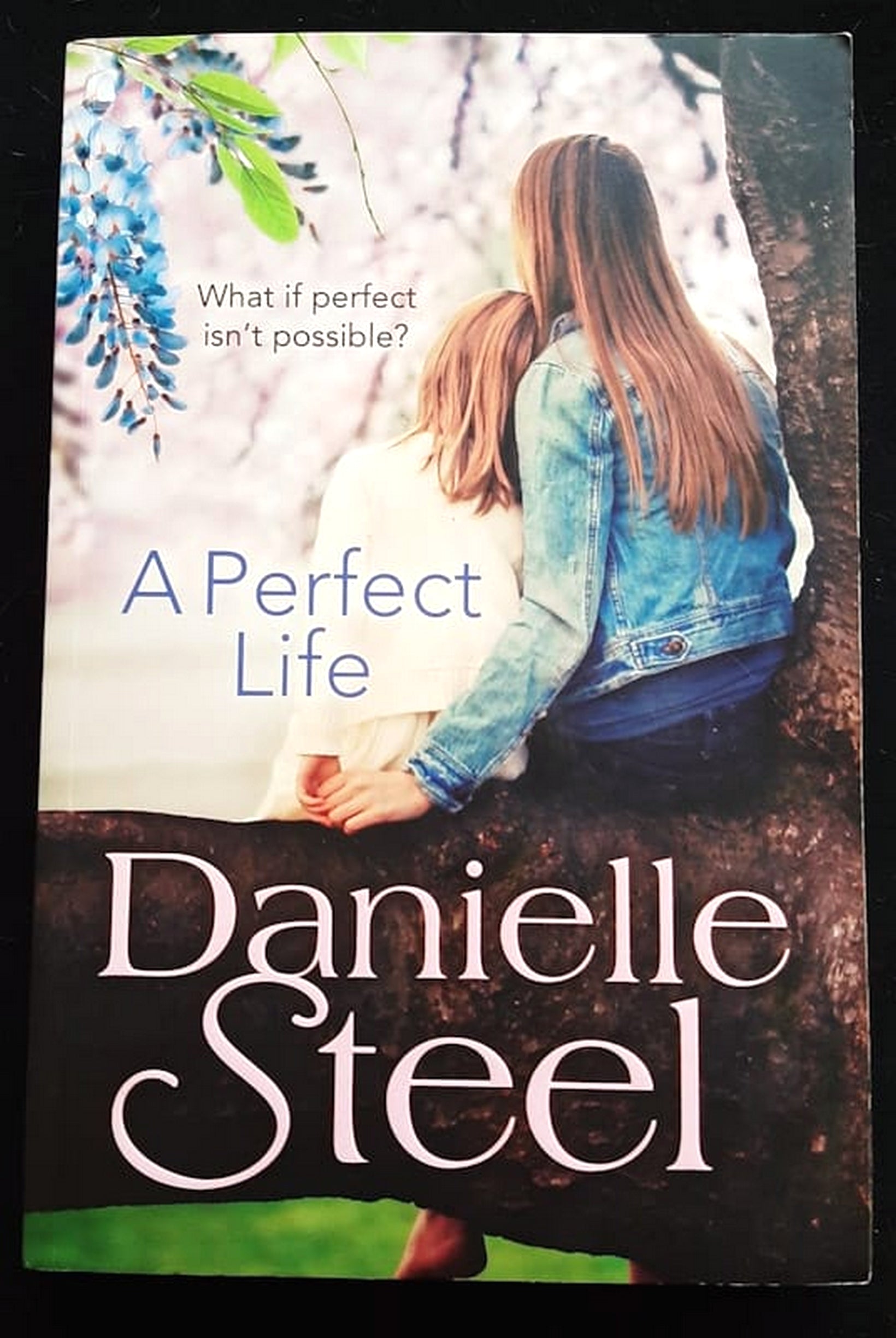 Front Cover Of Bestselling Book A Perfect Life (Danielle Steel
)