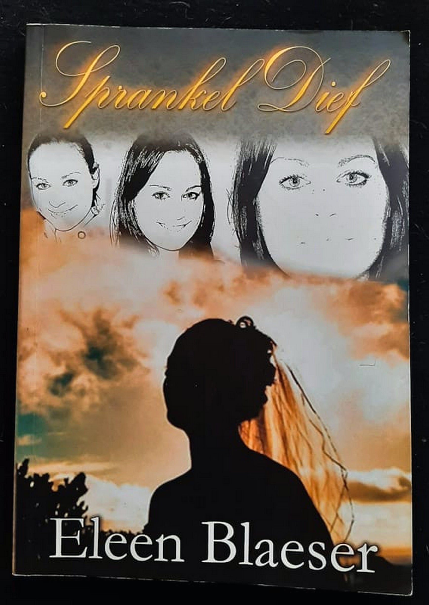 Front Cover Of Bestselling Book Sprankel Dief (Eleen Blaeser
)