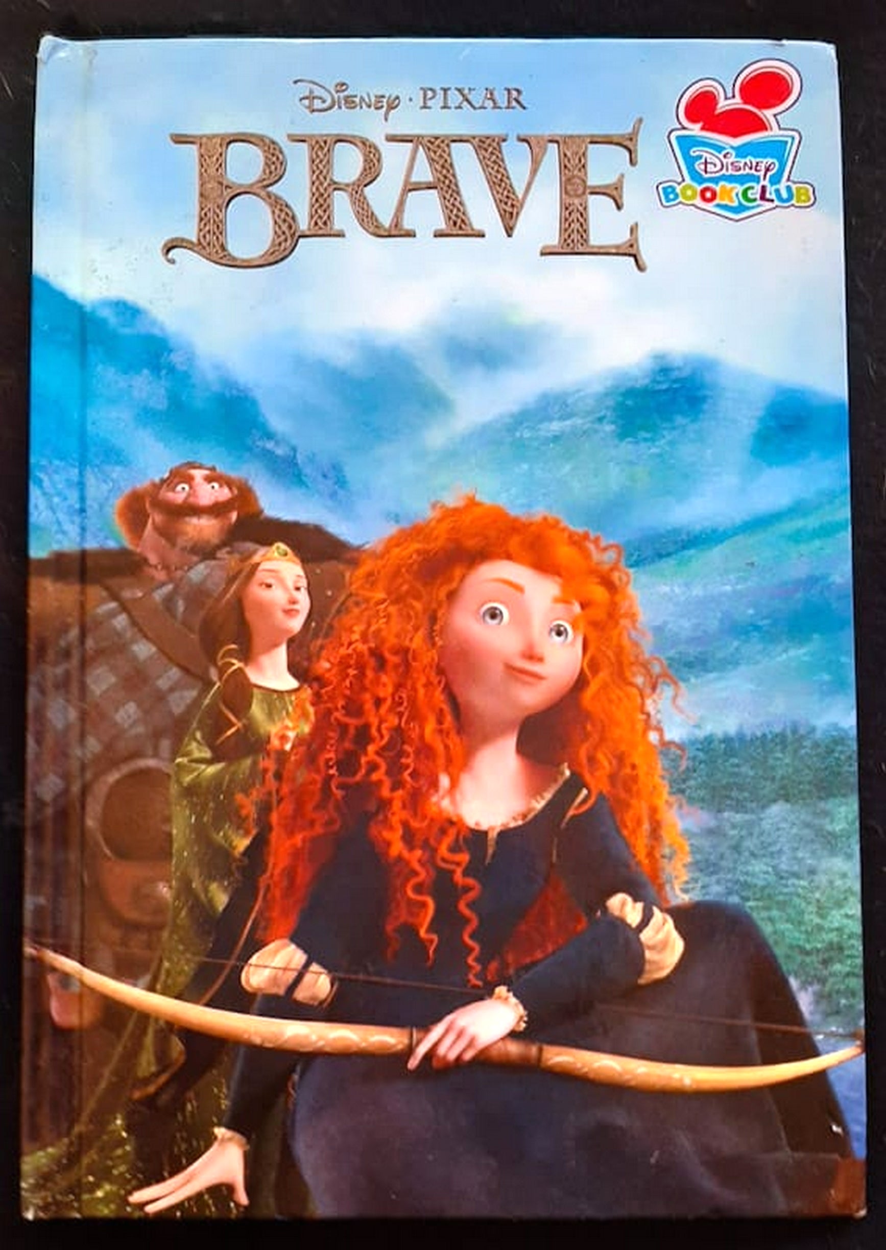 Front Cover Of Bestselling Book Brave (Disney
)