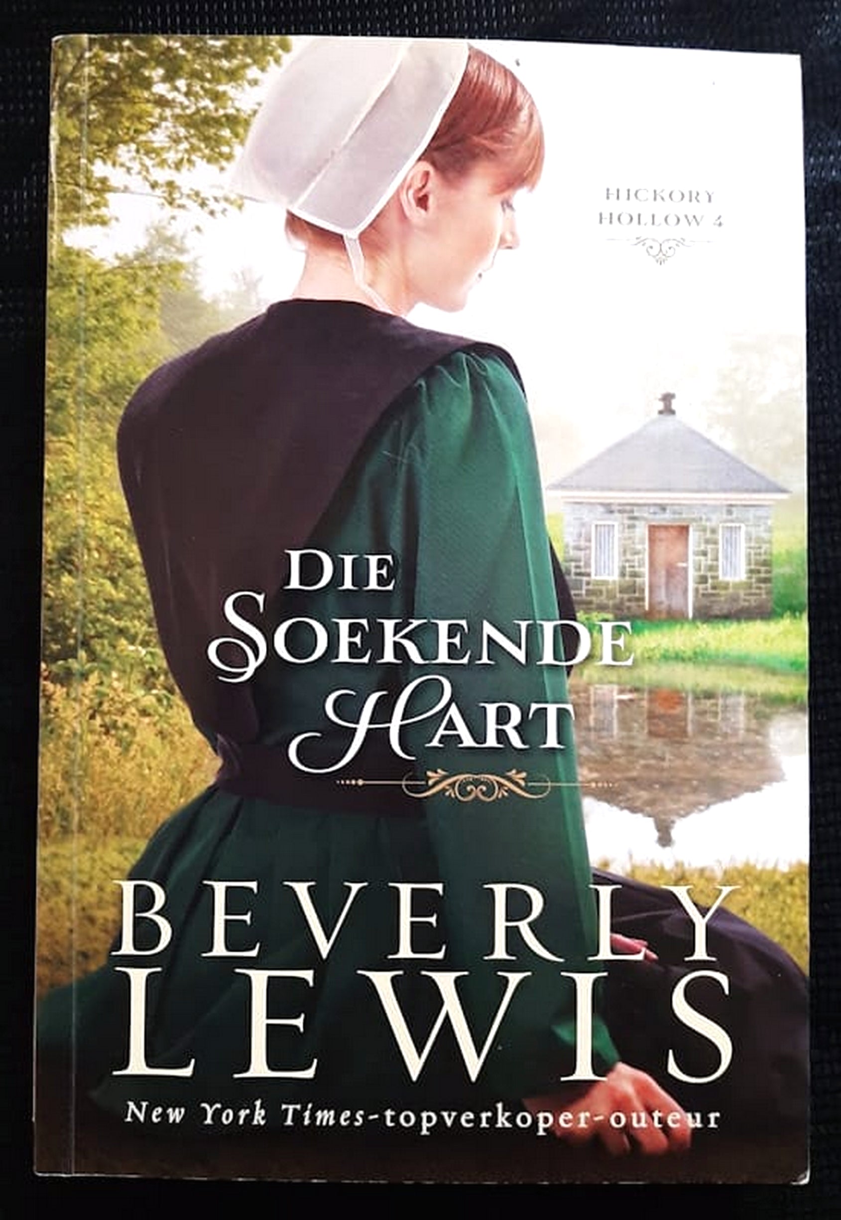 Front Cover Of Bestselling Book Die Soekende Hart (Home To Hickory Hollow #4) (Beverly Lewis
)