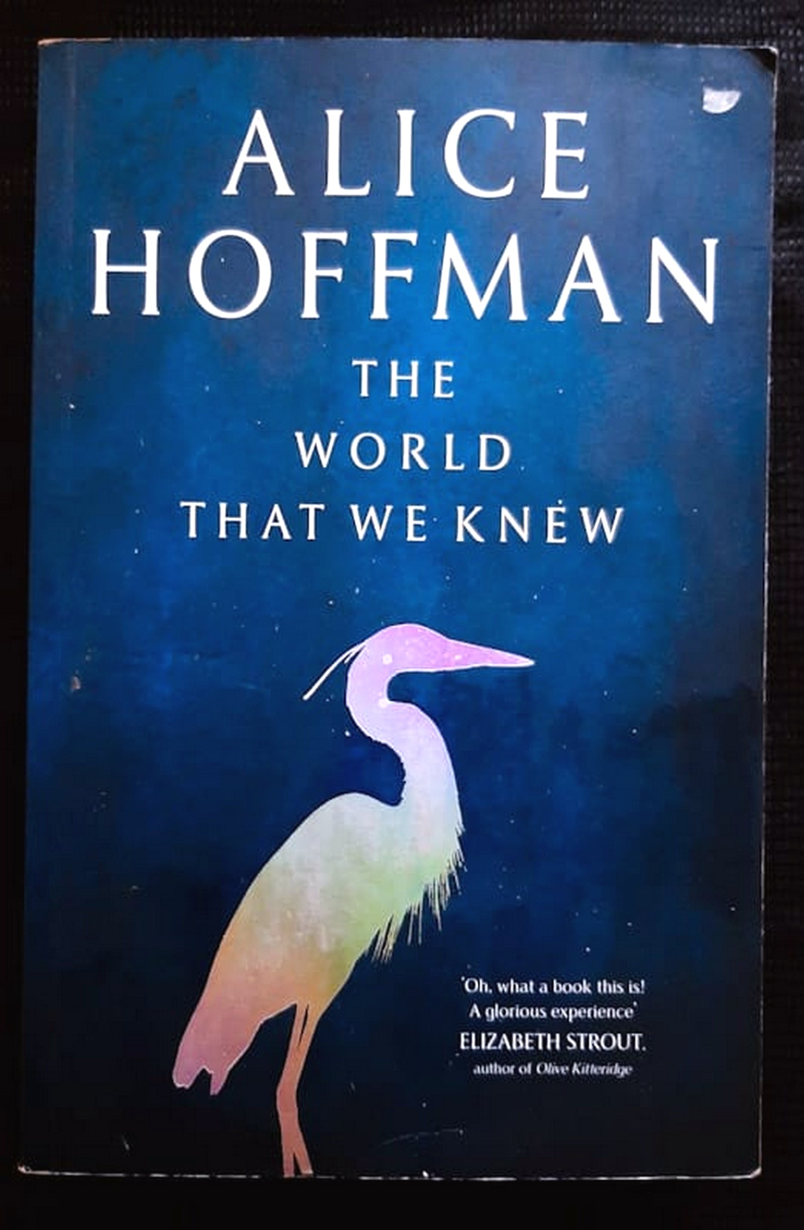 Front Cover Of Bestselling Book The World That We Knew (Alice Hoffman
)