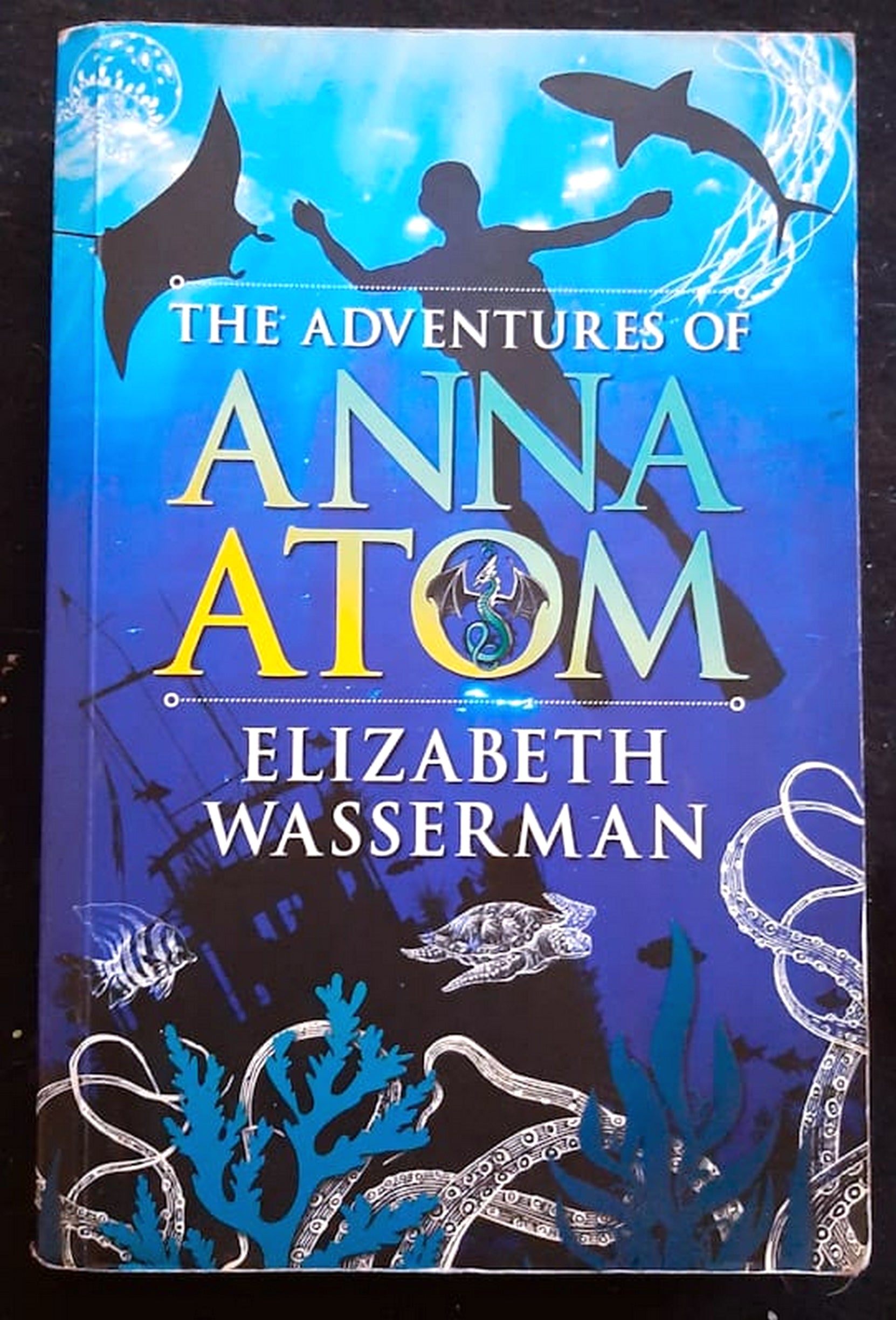 Front Cover Of Bestselling Book The Adventures Of Anna Atom (Elizabeth Wasserman
)
