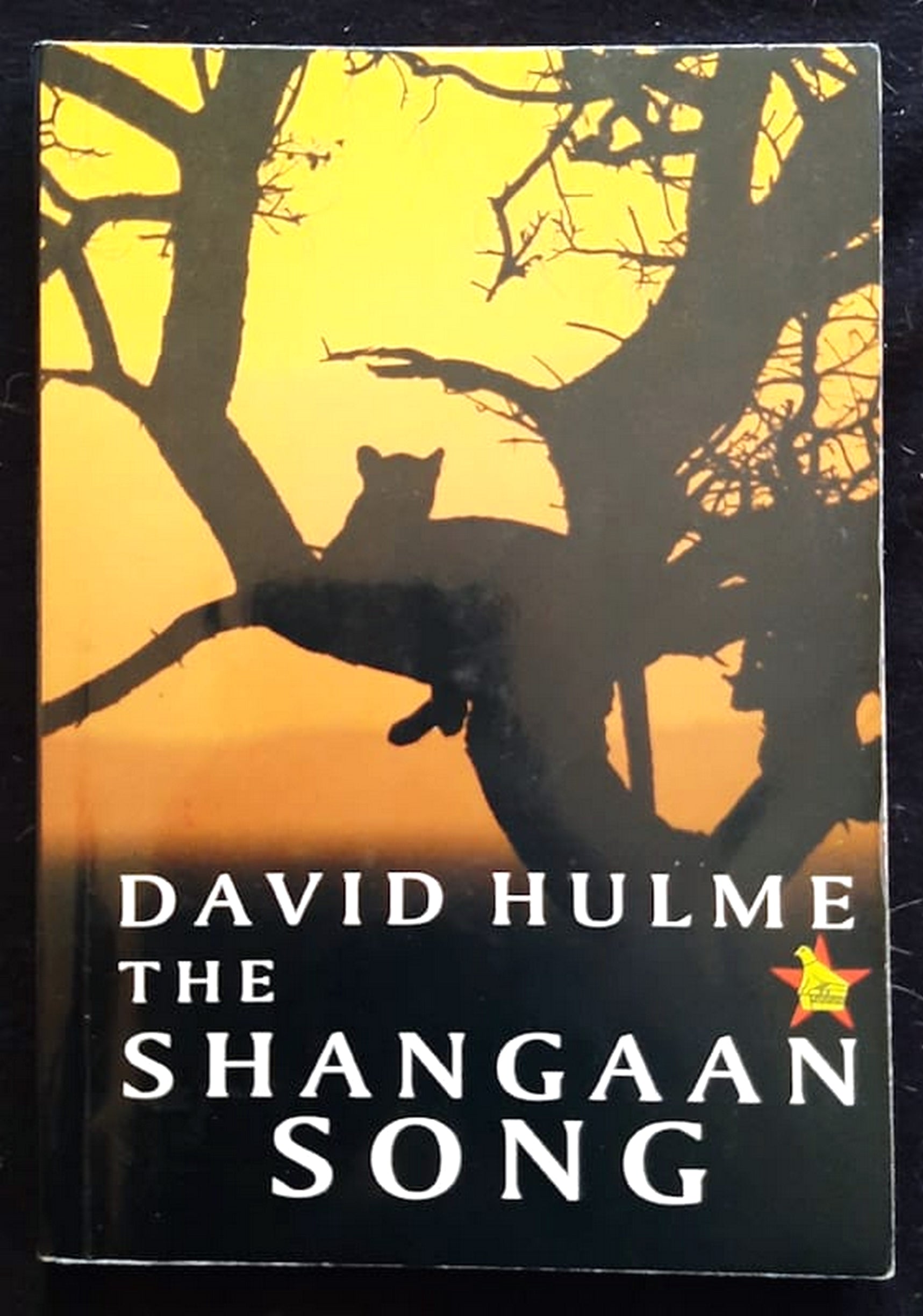 Front Cover Of Bestselling Book The Shangaan Song (David Hulme
)
