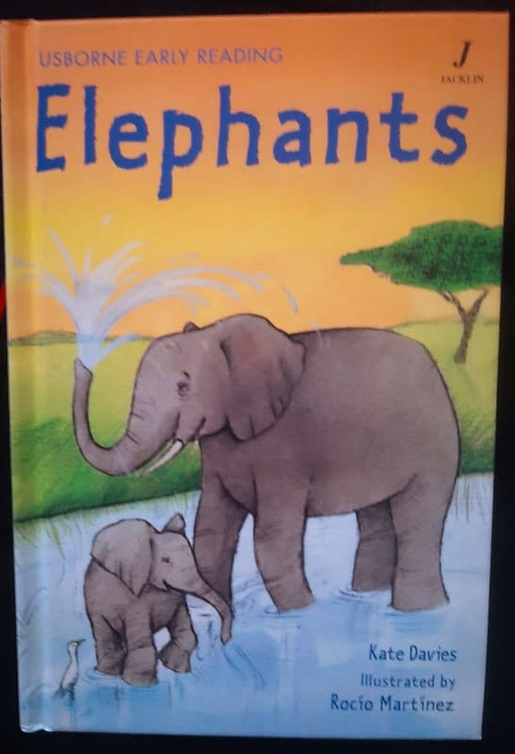 Front Cover Of Bestselling Book Elephants (Kate Davies
)
