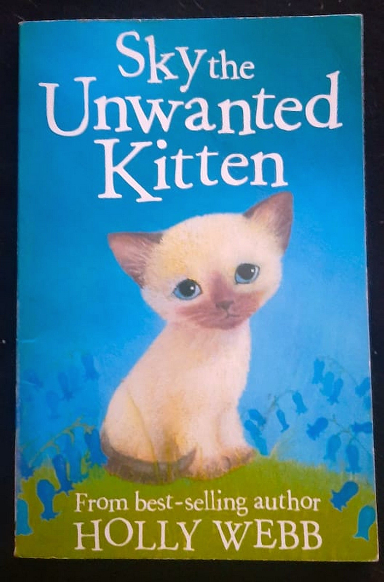 Front Cover Of Bestselling Book Sky The Unwanted Kitten (Animal Stories #17) (Holly Webb
)