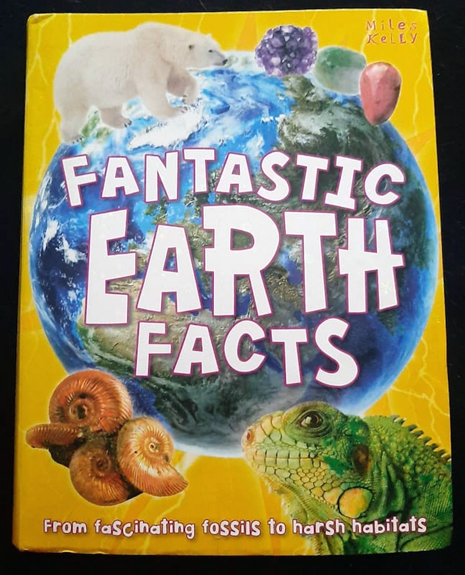 Front Cover Of Bestselling Book Fantastic Earth Facts (Miles Kelly
)